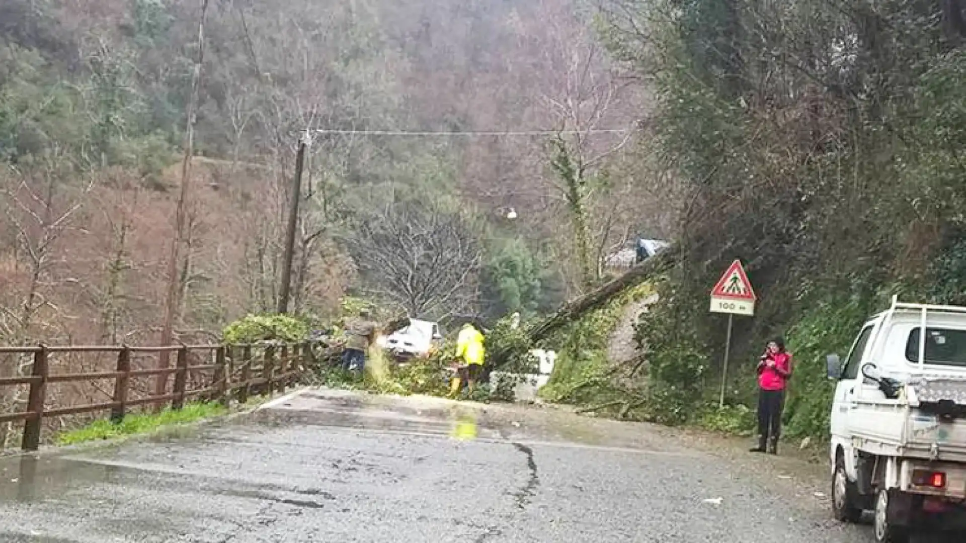 Calvi Risorta: tragico incidente sull’Appia Antica. Albero si abbatte su automobile ed uccide marito e moglie. Il forte vento ha causato l’incidente mortale.