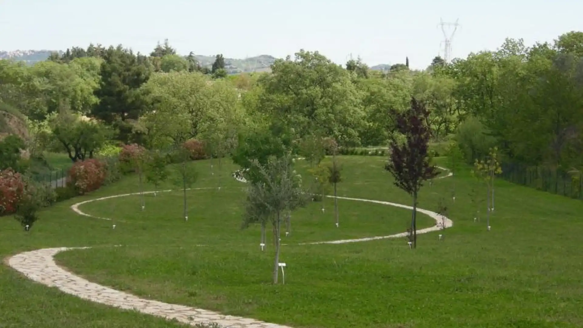 S.O.S. Rondini, il 4 giugno l’evento dove si parlerà del declino di questa specie animale e delle soluzioni per farle sopravvivere. Appuntamento all’Arboreto “Giancarlo Cipressi”.
