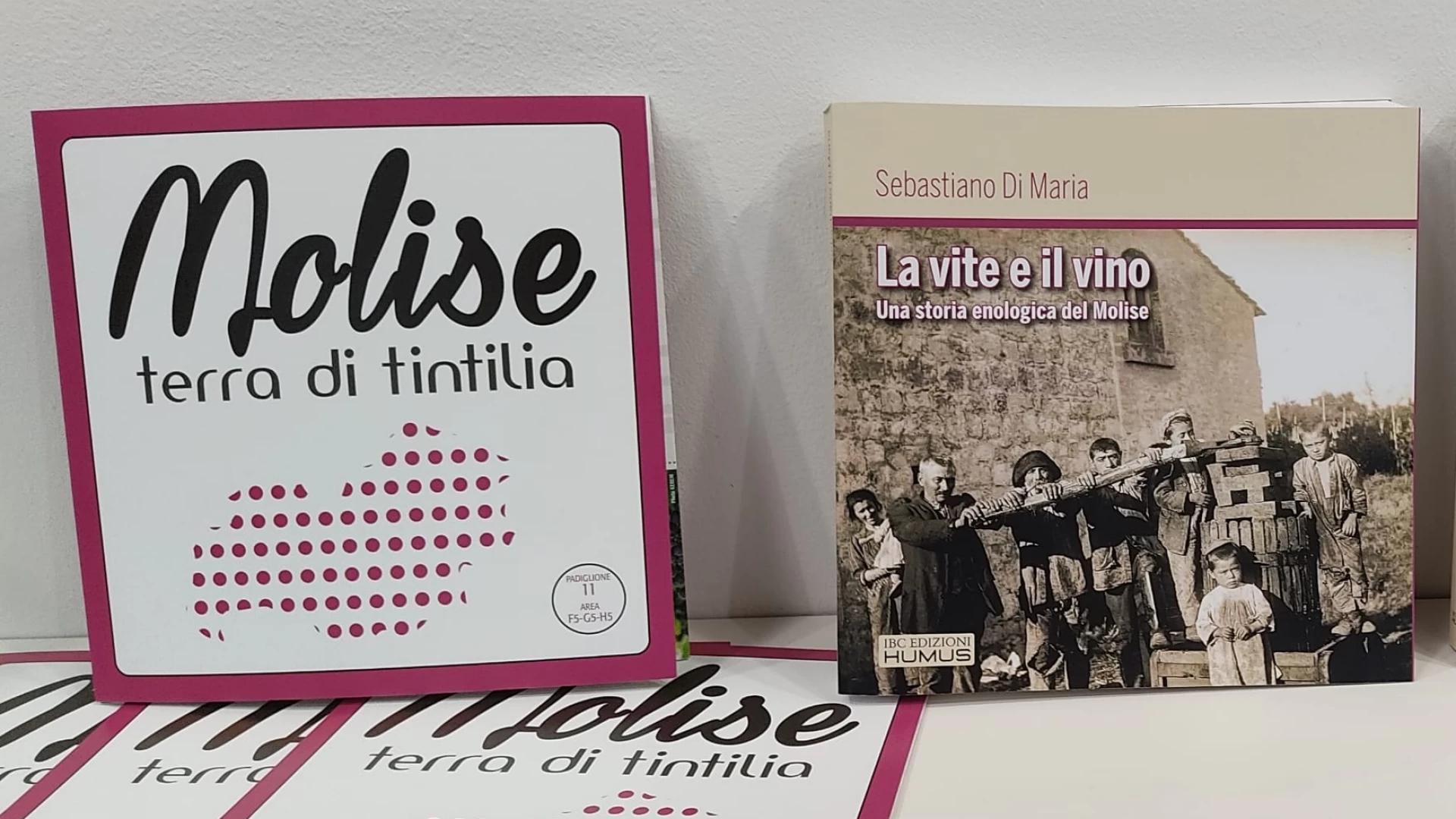 Al Vinitaly presentata la storia della vite e del vino in Molise.