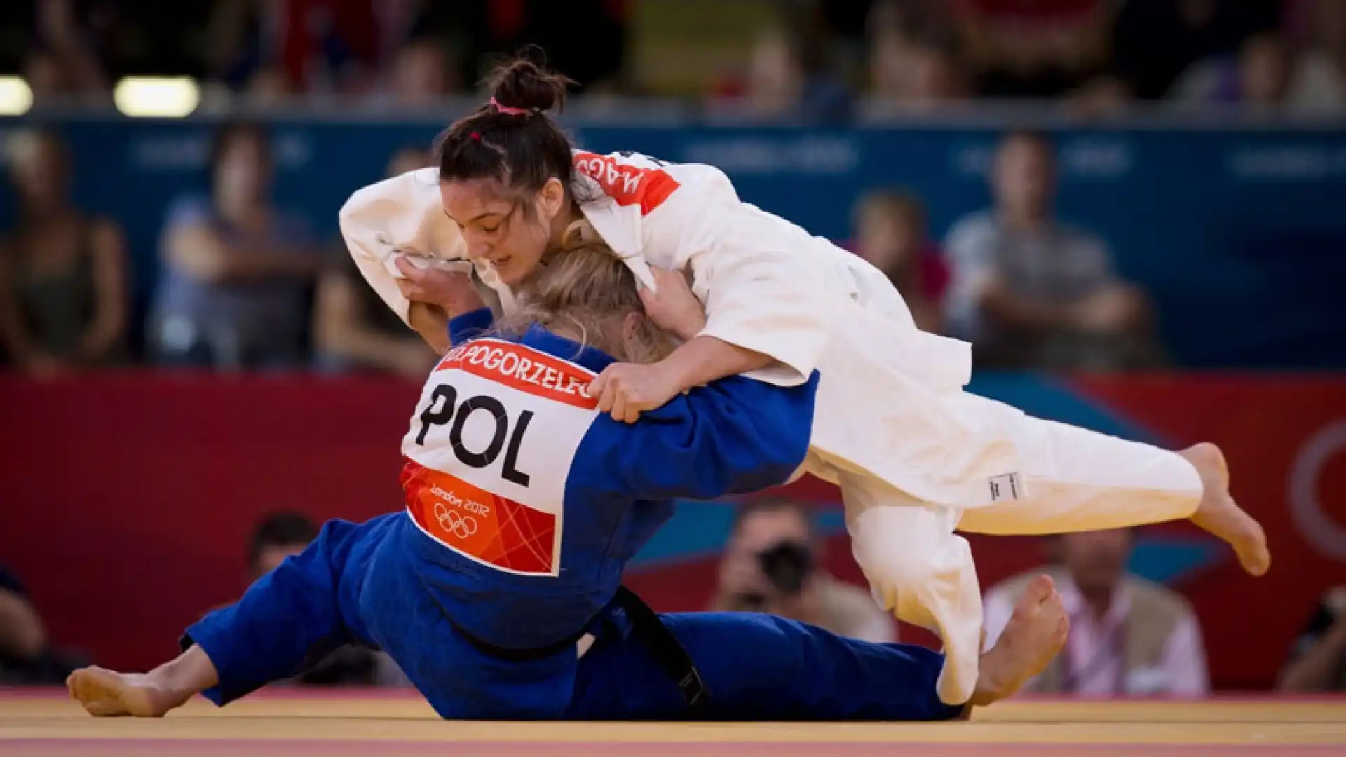 Il grande judo protagonista a Rocchetta a Volturno. Uno stage ospiterà i campioni azzurri.