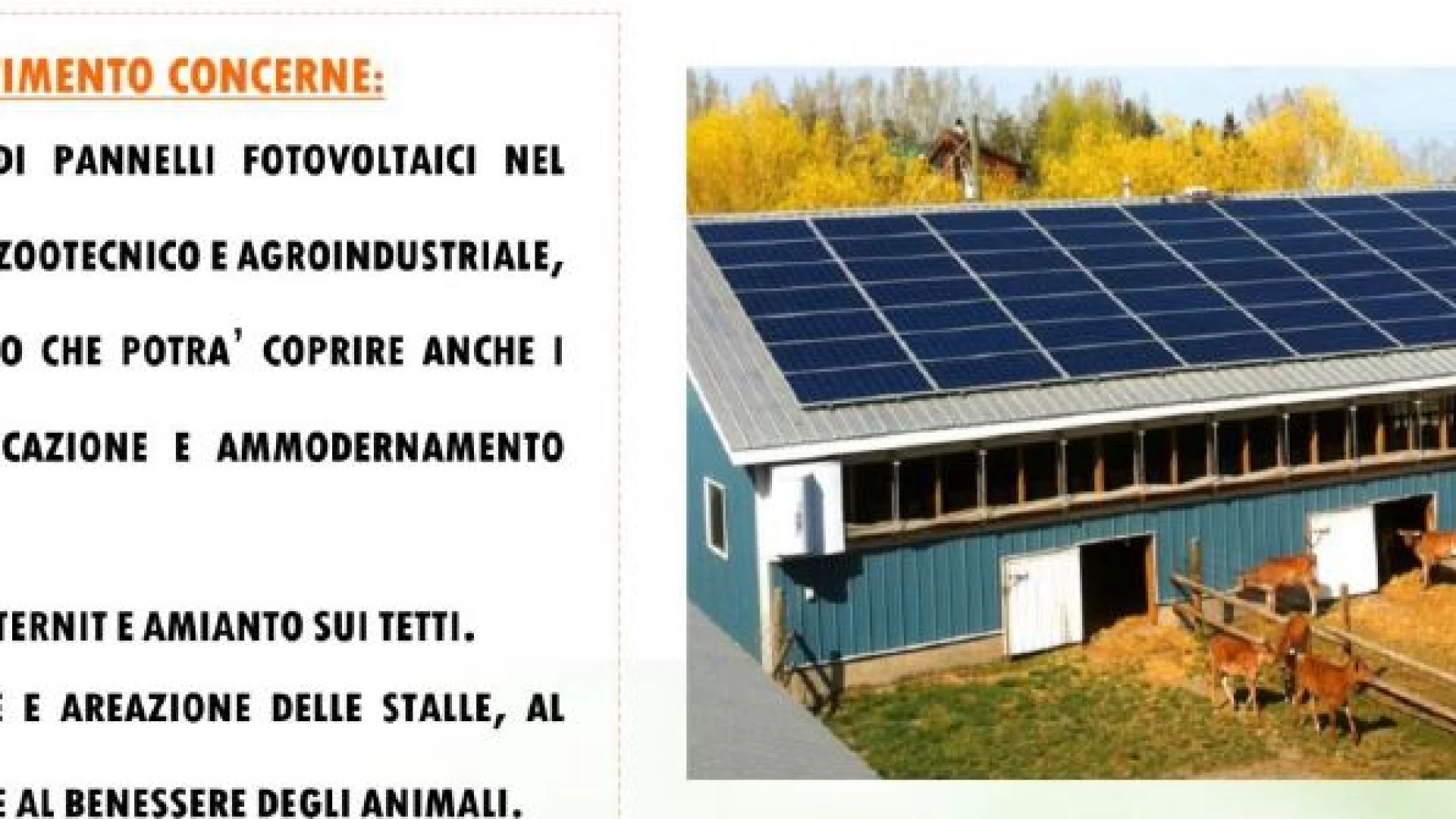 Incentivi per aziende agricole per l'installazione di impianti fotovoltaici-parco agrisolare. L'informativa di Confcooperative Molise