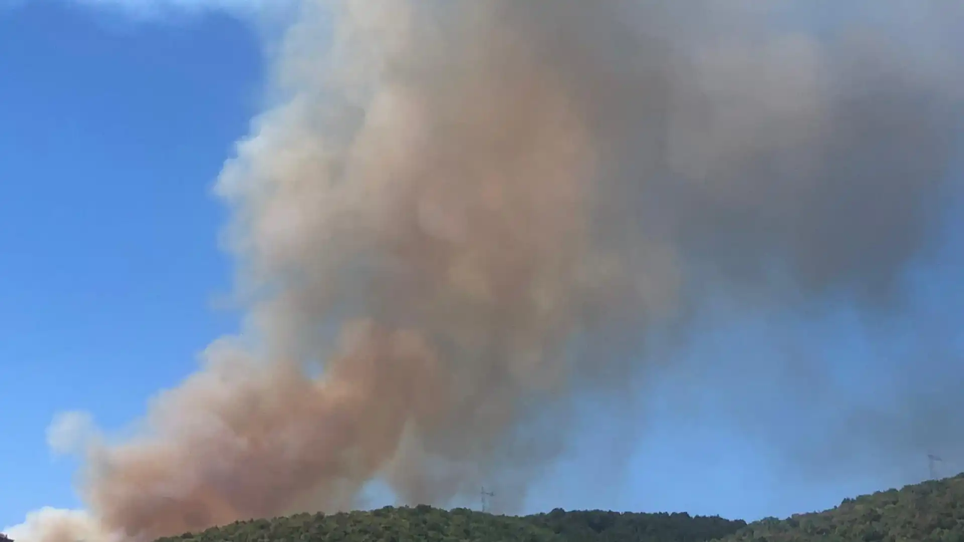 Operai forestali: “Incendi fuori stagione, necessario creare squadre di pronto intervento”