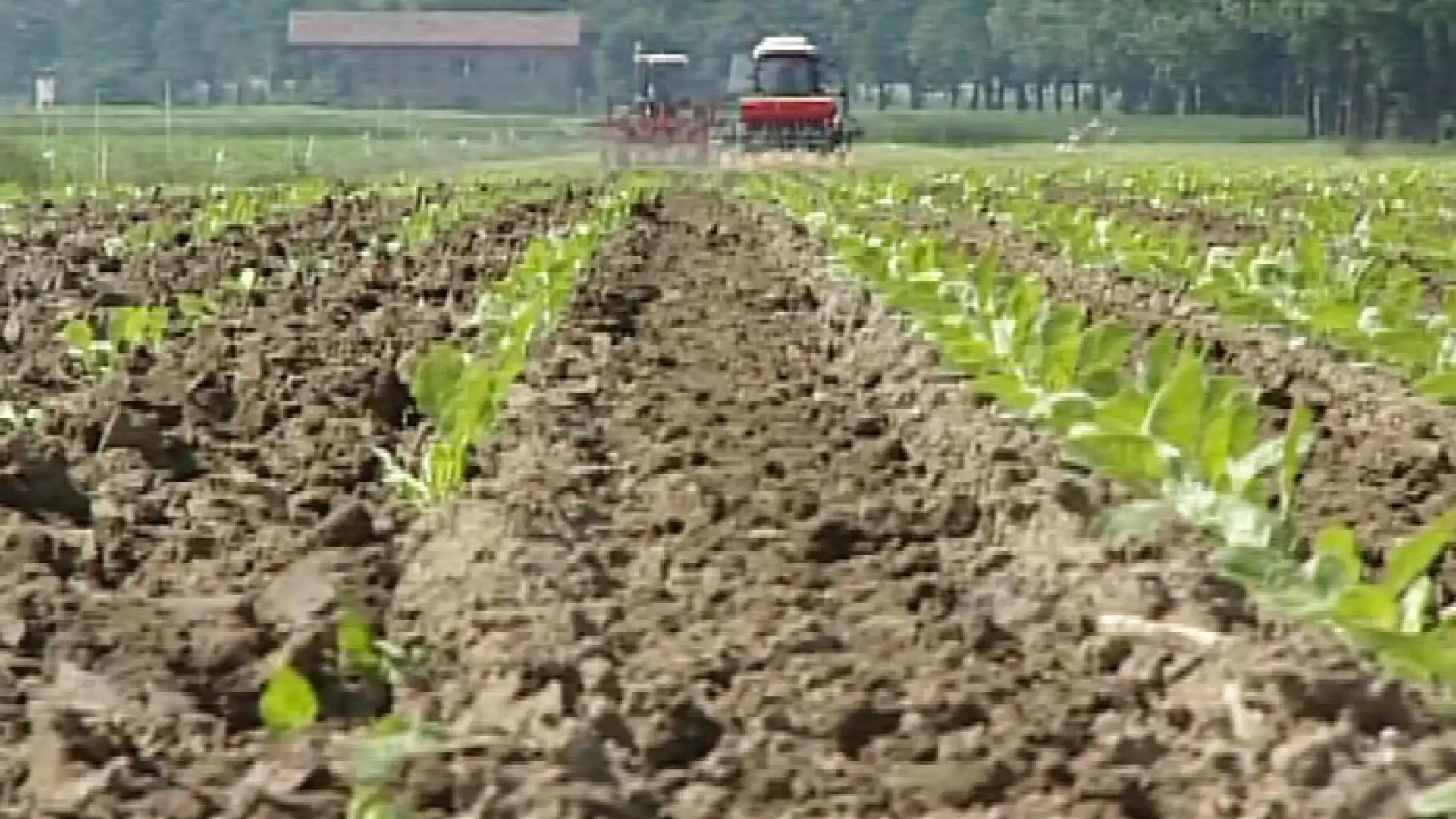 Venafro: gli imprenditori agricoli scendono in piazza sabato 26 marzo.