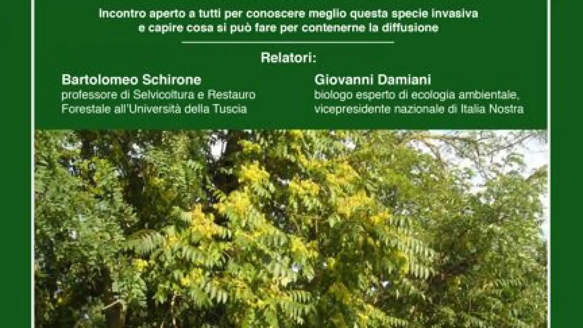 Incontro conoscitivo dal titolo” Che fare dell’ailanto. Identikit di una pianta indesiderata”. Appuntamento sabato 26 marzo presso l’Arboreto “Giancarlo Cipressi”.