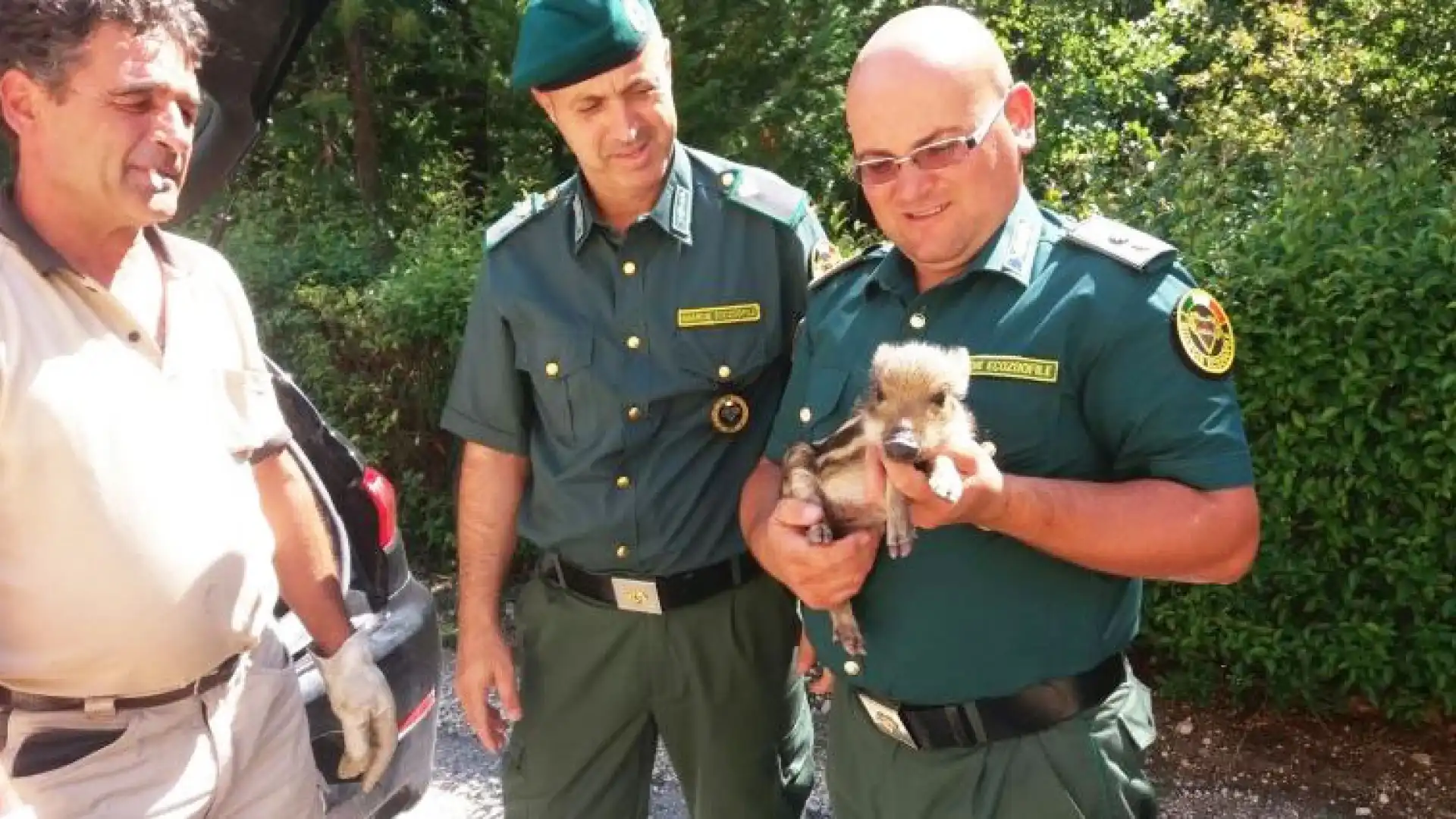 Cinghiale entra nel bar a Pescocostanzo tra lo stupore dei presenti.