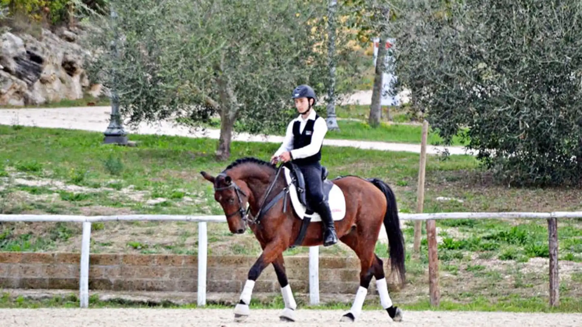 Equitazione: Monta da lavoro tradizionale, Loris Matticoli sul gradino più alto del podio al campionato italiano di Alviano.