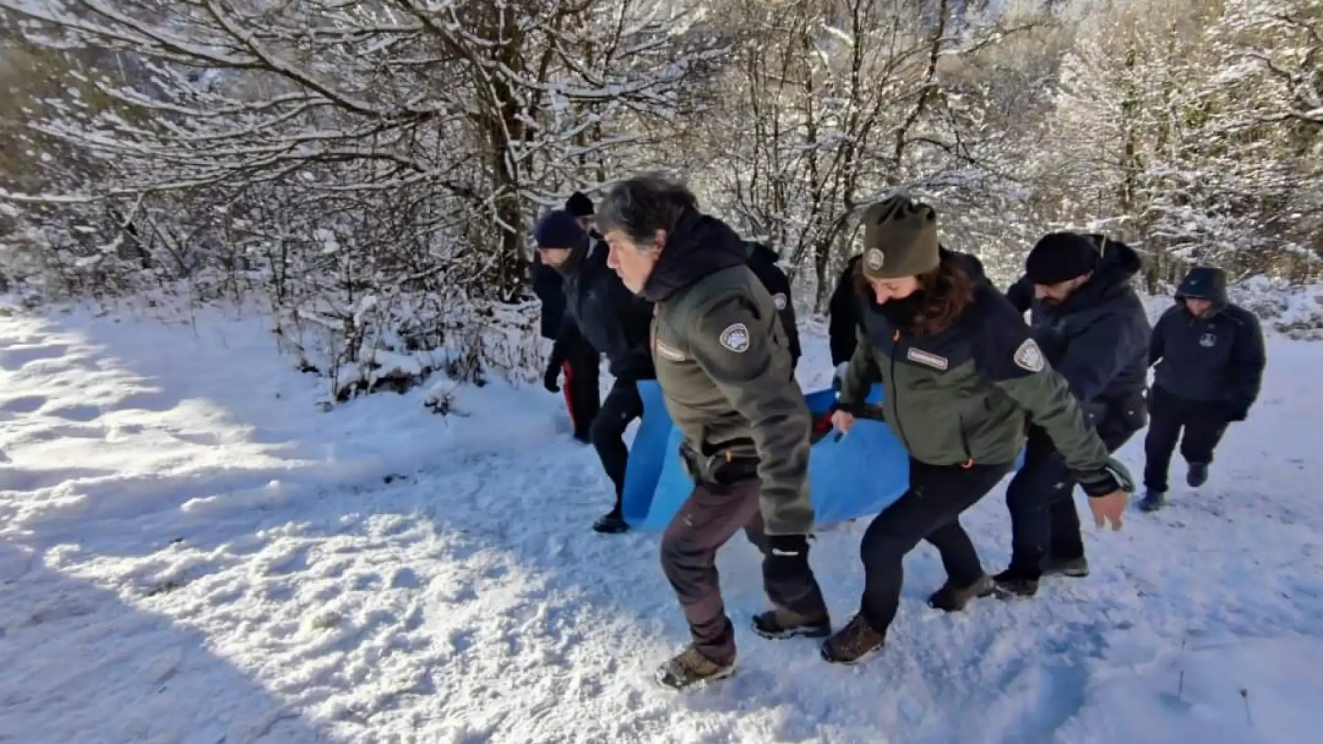 L'Orso Juan Carrito è stato catturato e spostato dal Pnalm in altra zona. In questo modo resterà lontano dai centri abitati e sarà fuori pericolo.