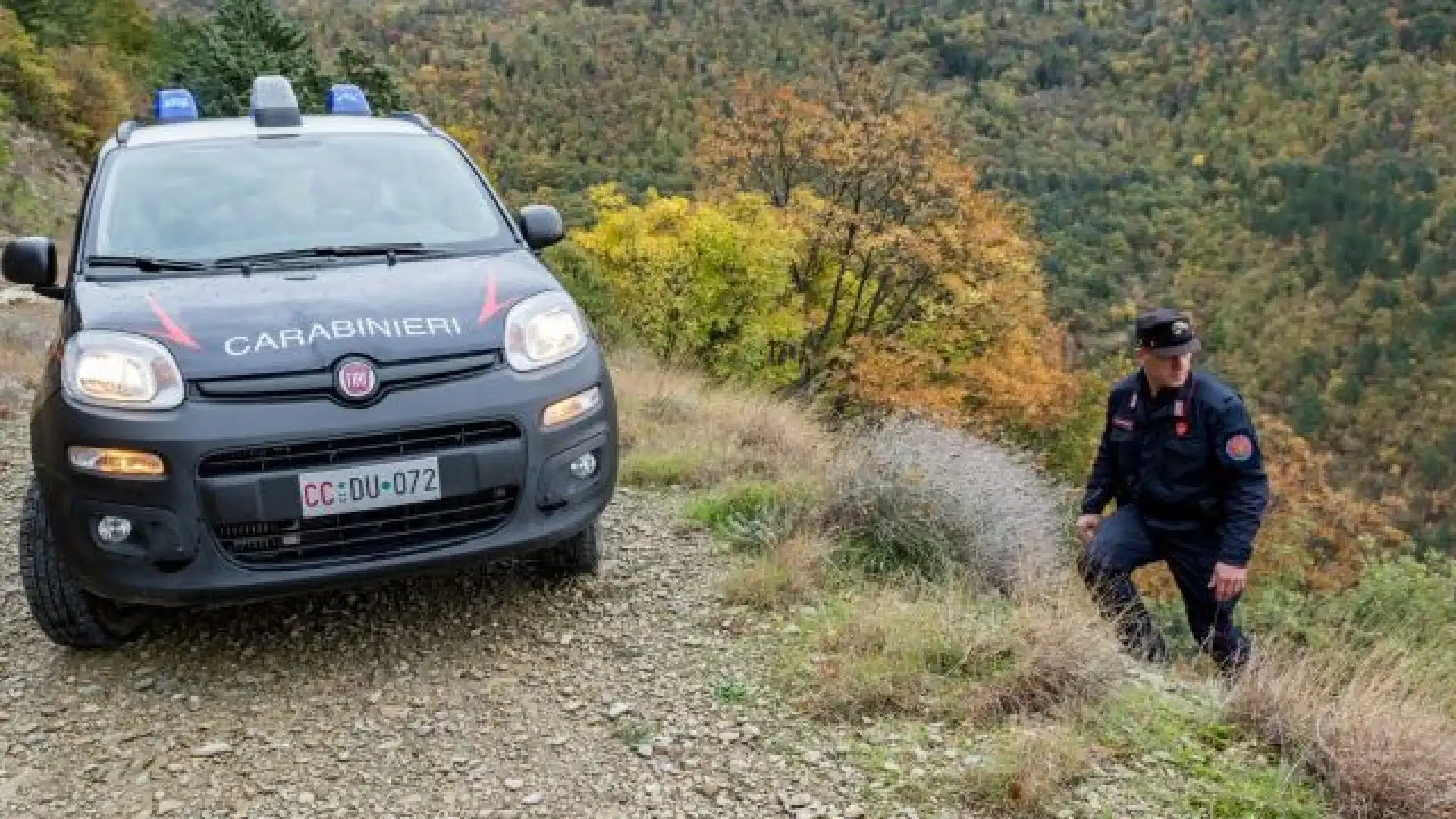 Pietrabbondante: i Carabinieri Forestali identificano e segnalano un bracconiere