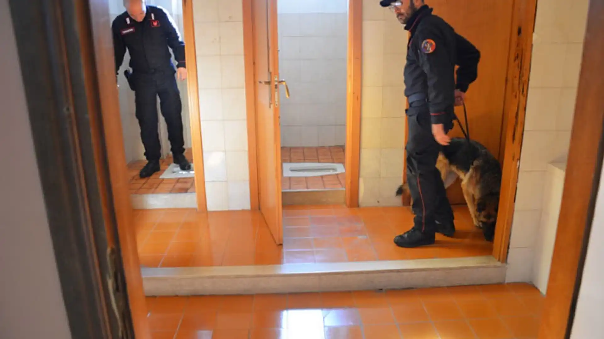 Isernia: Controlli antidroga presso Istituti Scolastici e altri luoghi frequentati dai più giovani, 20enne trovato in possesso di hashish fermato dai Carabinieri.