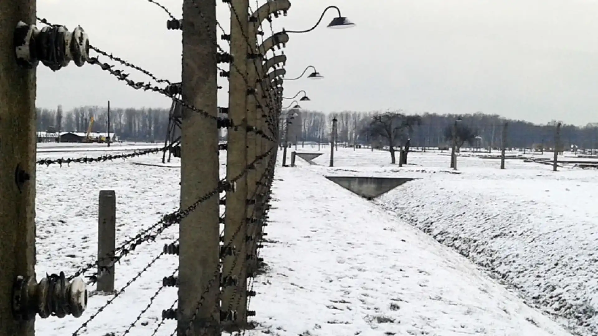 Isernia: in Prefettura la consegna delle medaglie per il “Giorno della Memoria”. Ricordato Cosimo Di Meo di Filignano, internato per oltre due anni.