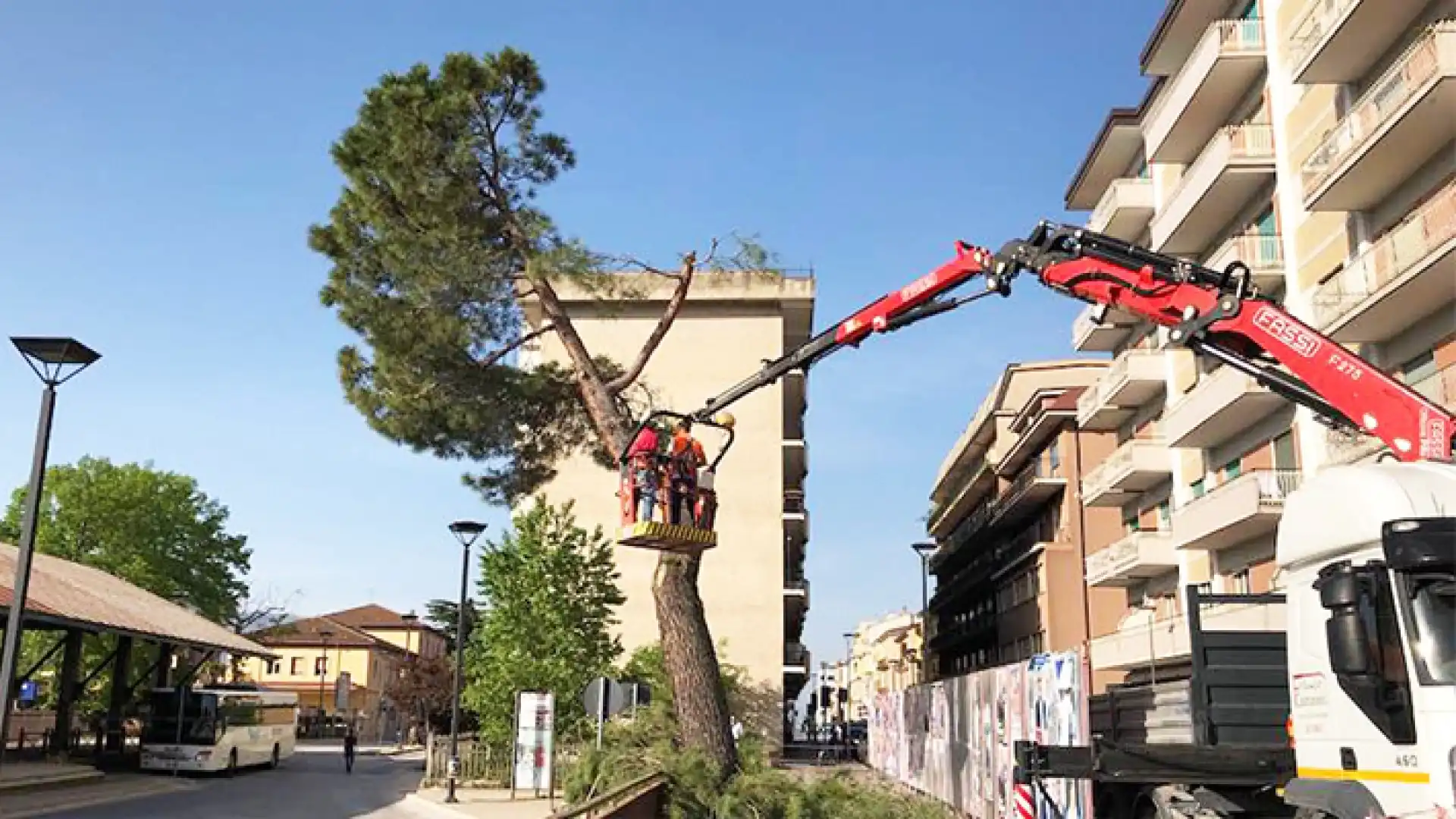 Isernia: il taglio degli alberi lungo Corso Garibaldi scatena l’ira sul web dei cittadini. Interviene anche Filomena Calenda. “L’Assessore competente in materia riveda immediatamente i suoi piani”.