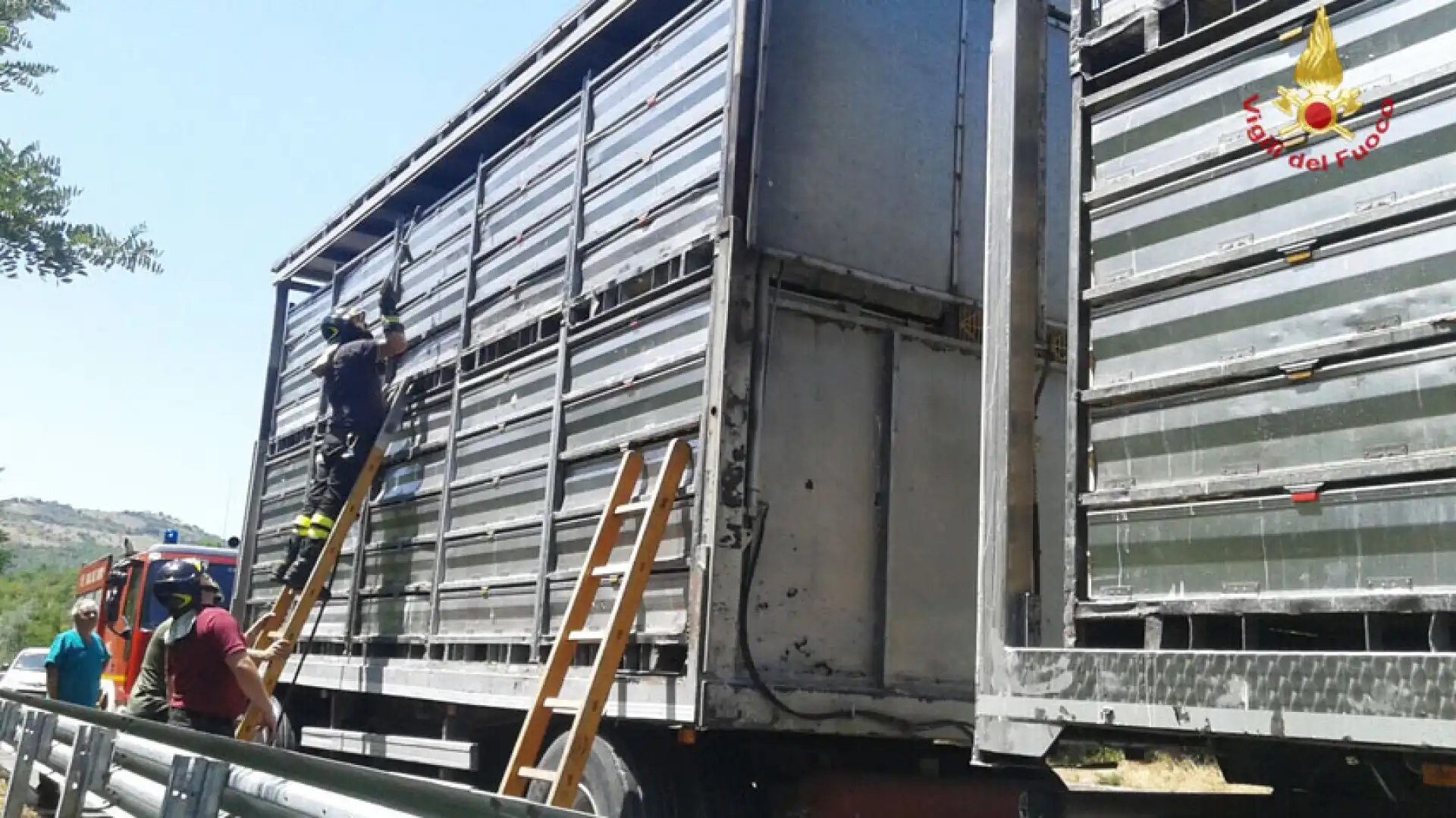 Tir in panne sulla fondovalle Trignina, salvati 5mila polli. L’intervento dei Vigili del Fuoco nel pomeriggio odierno.