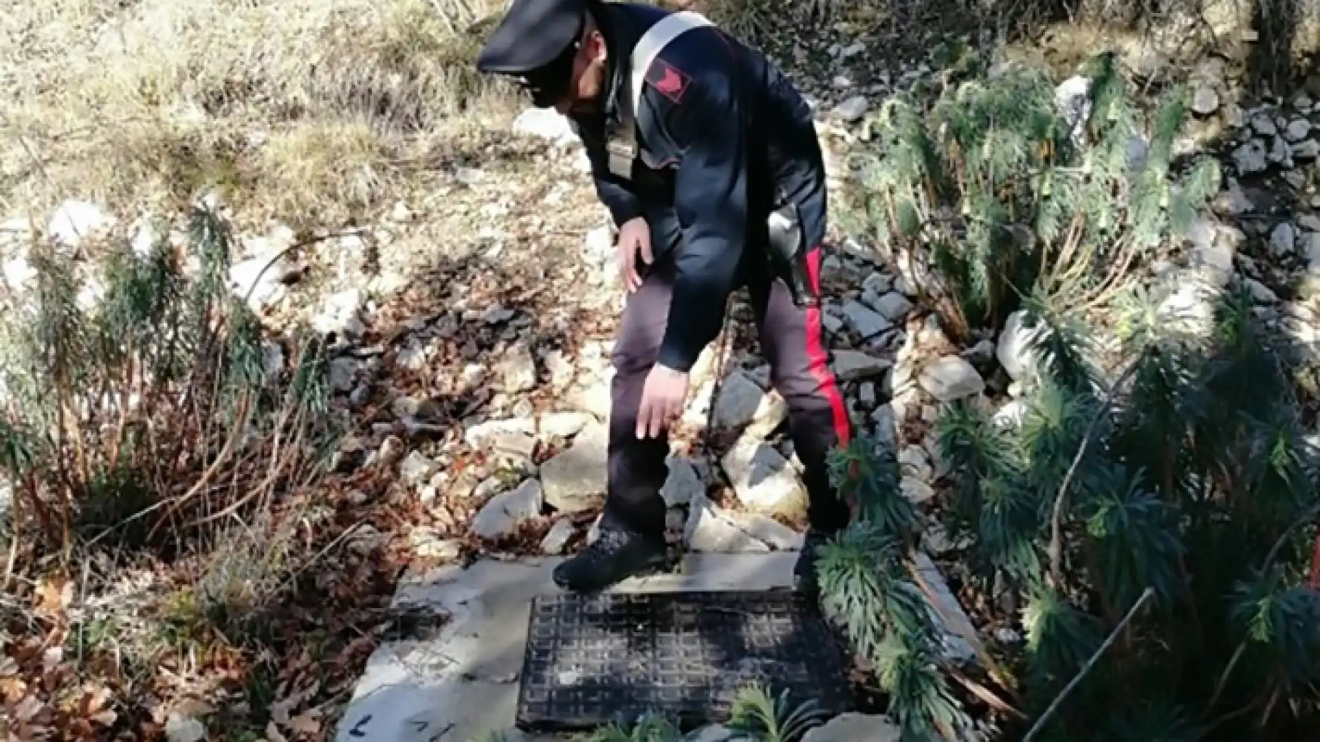 Isernia: Droga negli slip, “pusher” fermato dai Carabinieri. Sotto sequestro dosi di marijuana e denaro contante. A Castel San Vincenzo denunciato imprenditore agricolo per furto di acqua dalla rete idrica.