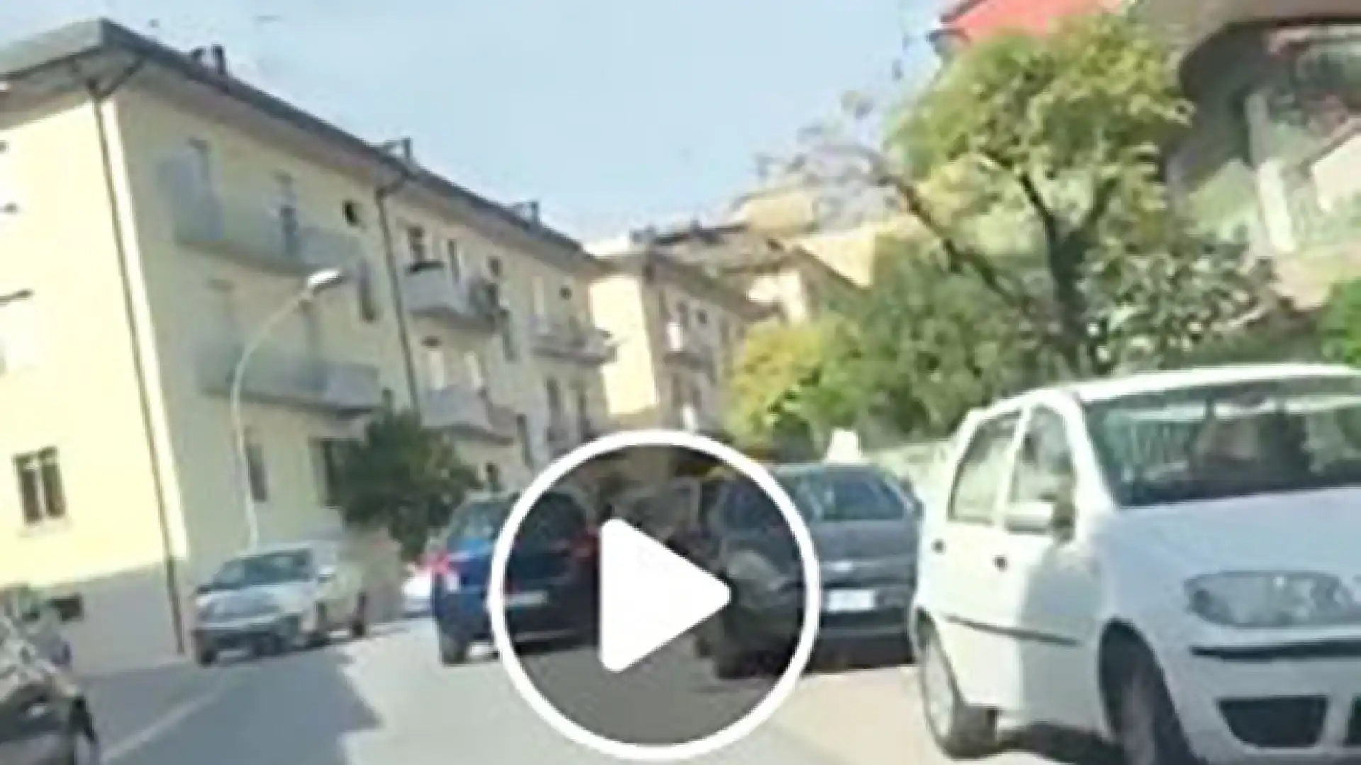 Isernia: a bordo di una utilitaria crea il panico nei pressi della Prefettura. Due auto urtate e tanta paura. Il video in diretta che sta spopolando sul web