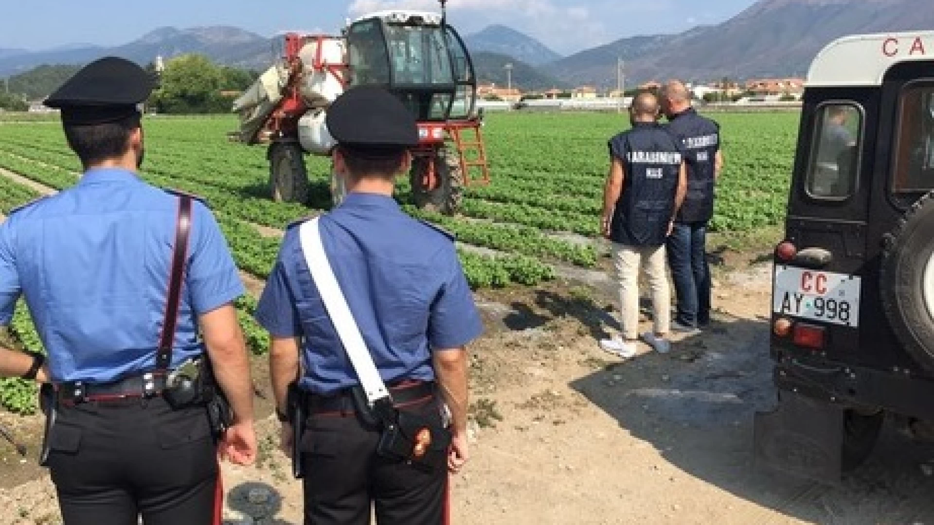 Carovilli: Tutela della salute dei lavoratori e della sicurezza sui luoghi di lavoro, denunciato il titolare di una azienda agricola.