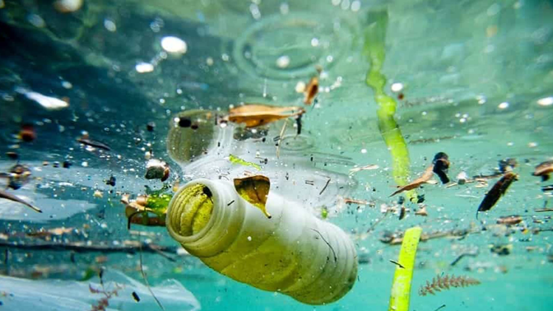 Giornata nazionale dell’ambiente, quest’oggi si celebra il territorio. Il Consiglio nazionale dei geologi invita al rispetto dell’habitat marino.