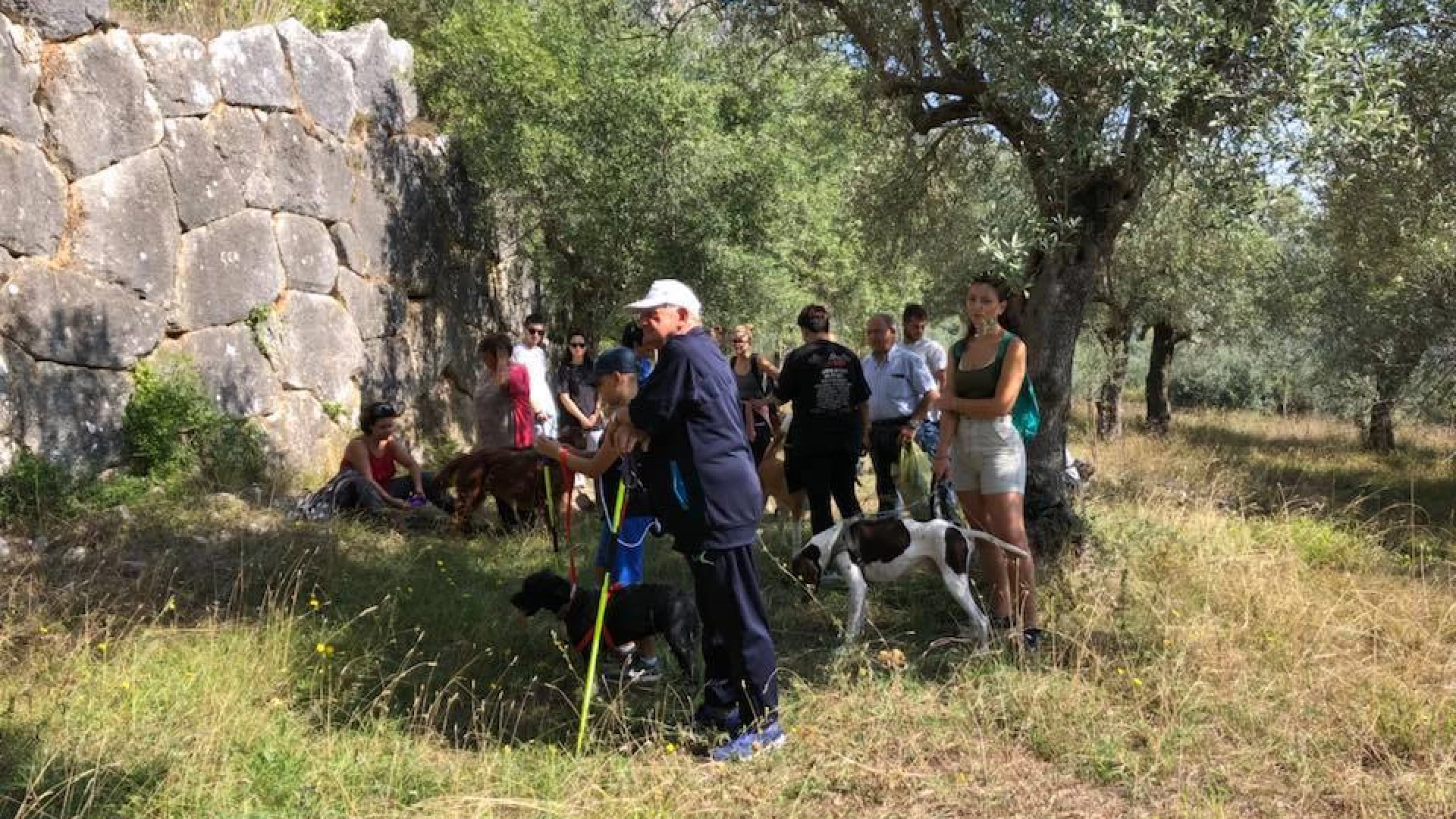 Ambiente: “A 6 Zampe nel Parco”. Riuscito l’evento dedicati agli amici a quattro zampe che si è svolto nel Parco dell’Olivo di Venafro.