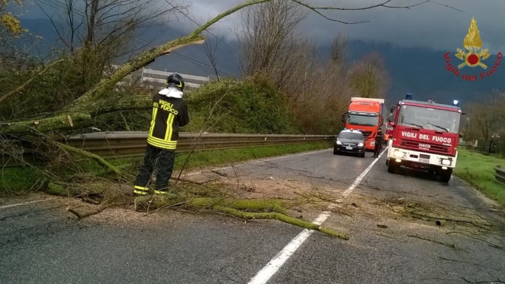 Meteo: vento e pioggia flagellano la Valle del Volturno. Numerosi gli arbusti abbattuti dalla raffiche di vento nelle ultime ore.