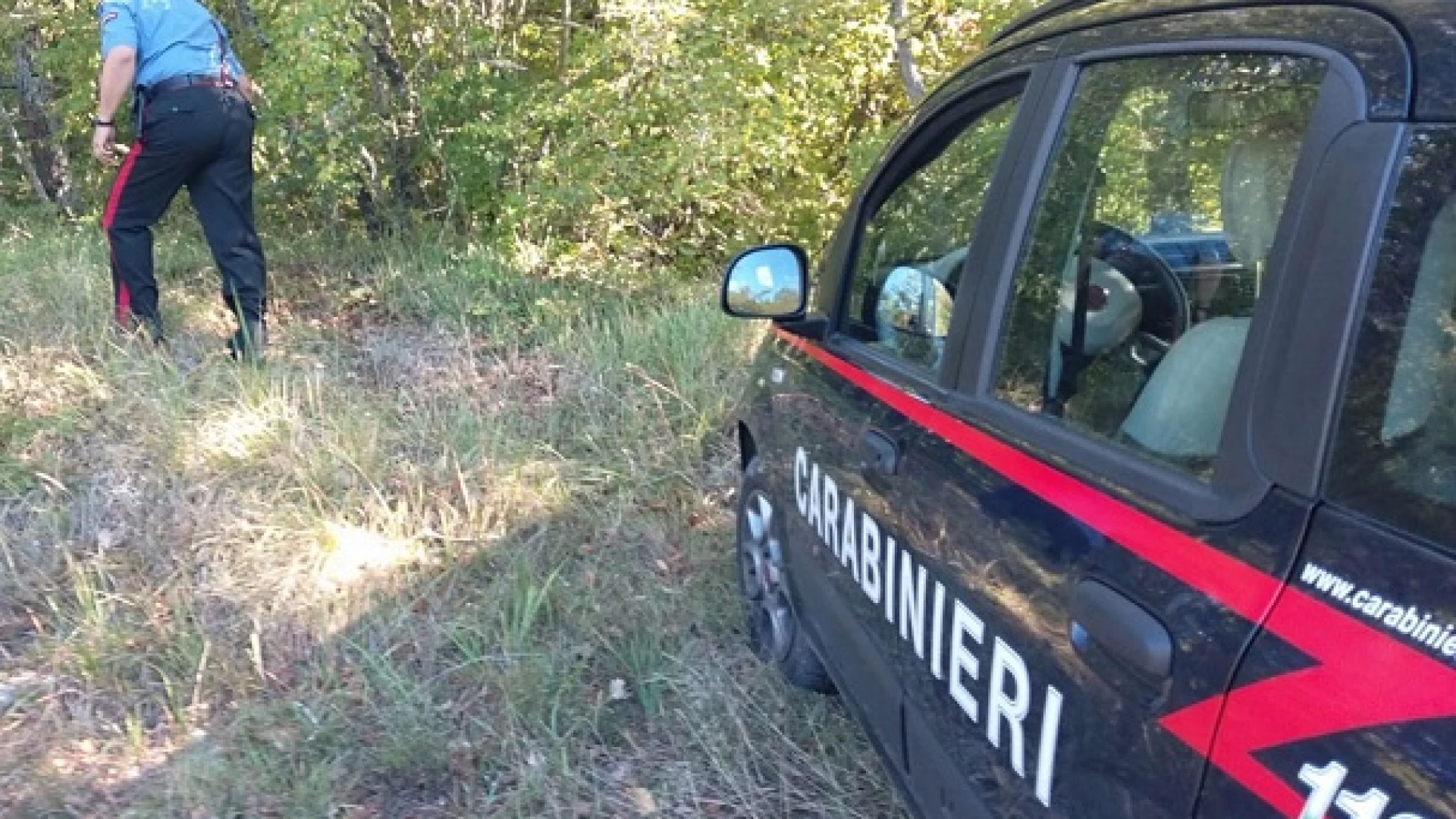 Carpinone (IS): Si perde nei boschi. Rintracciato grazie all’azione congiunta dei Carabinieri e dei Vigili del Fuoco.