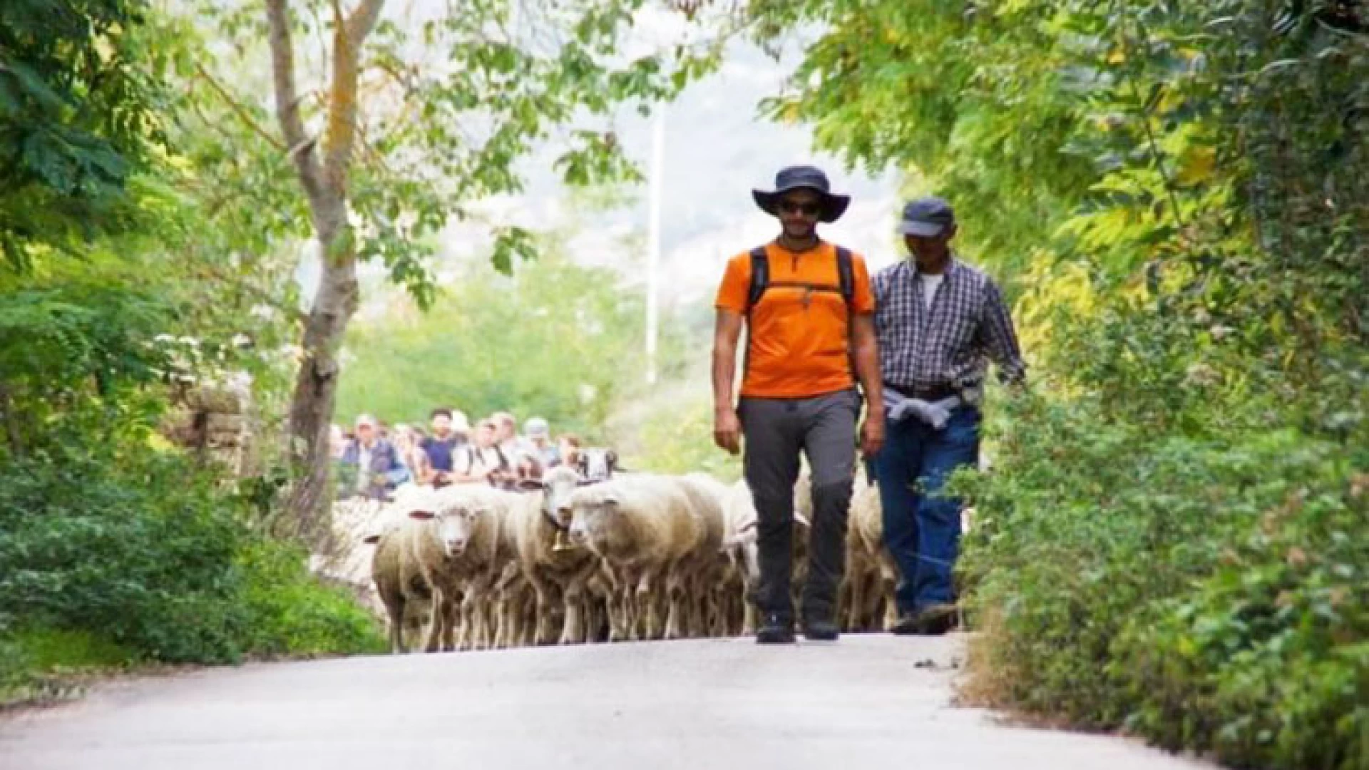 Sulle note del Tratturo dei Re, trekking musicale a Campodipietra domenica 28 aprile.