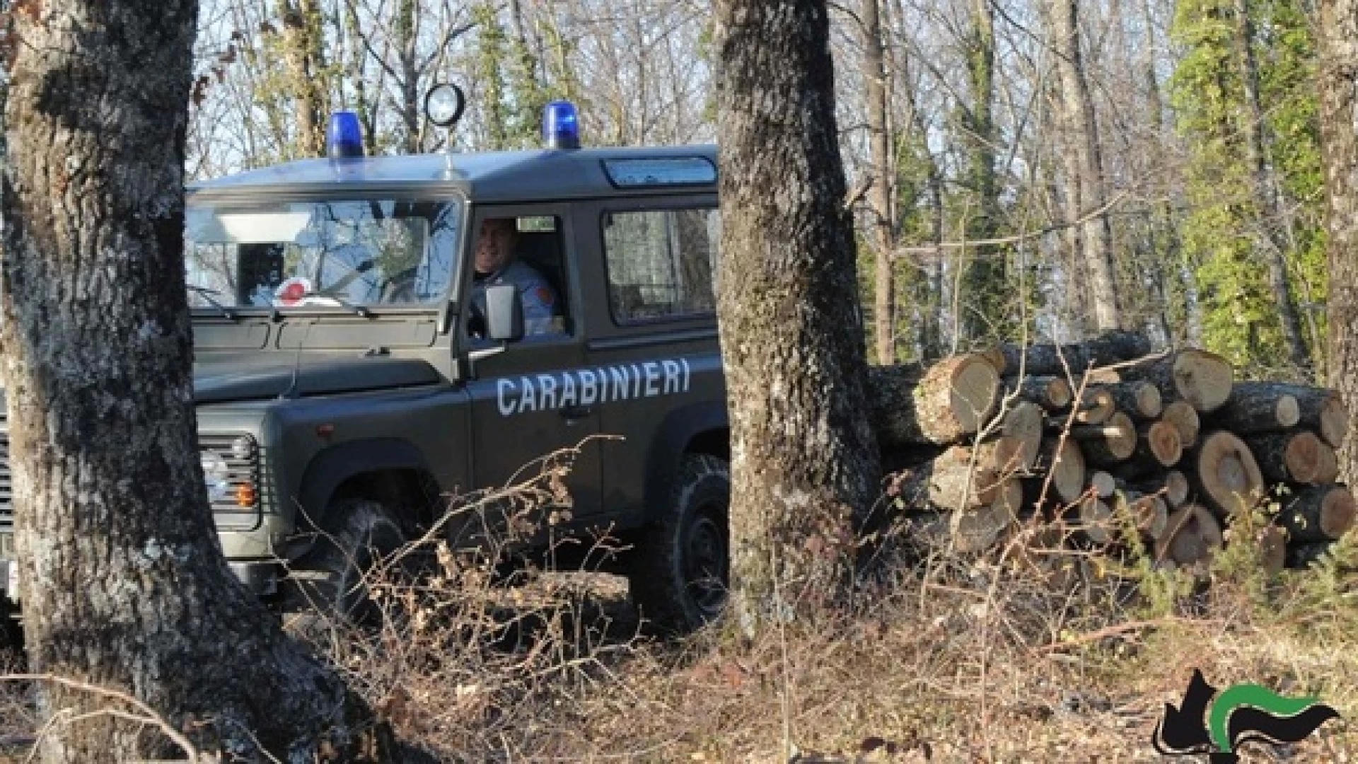 Taglialegna senza contratto: titolare ed operaio della ditta nelle rete dei Carabinieri Forestali