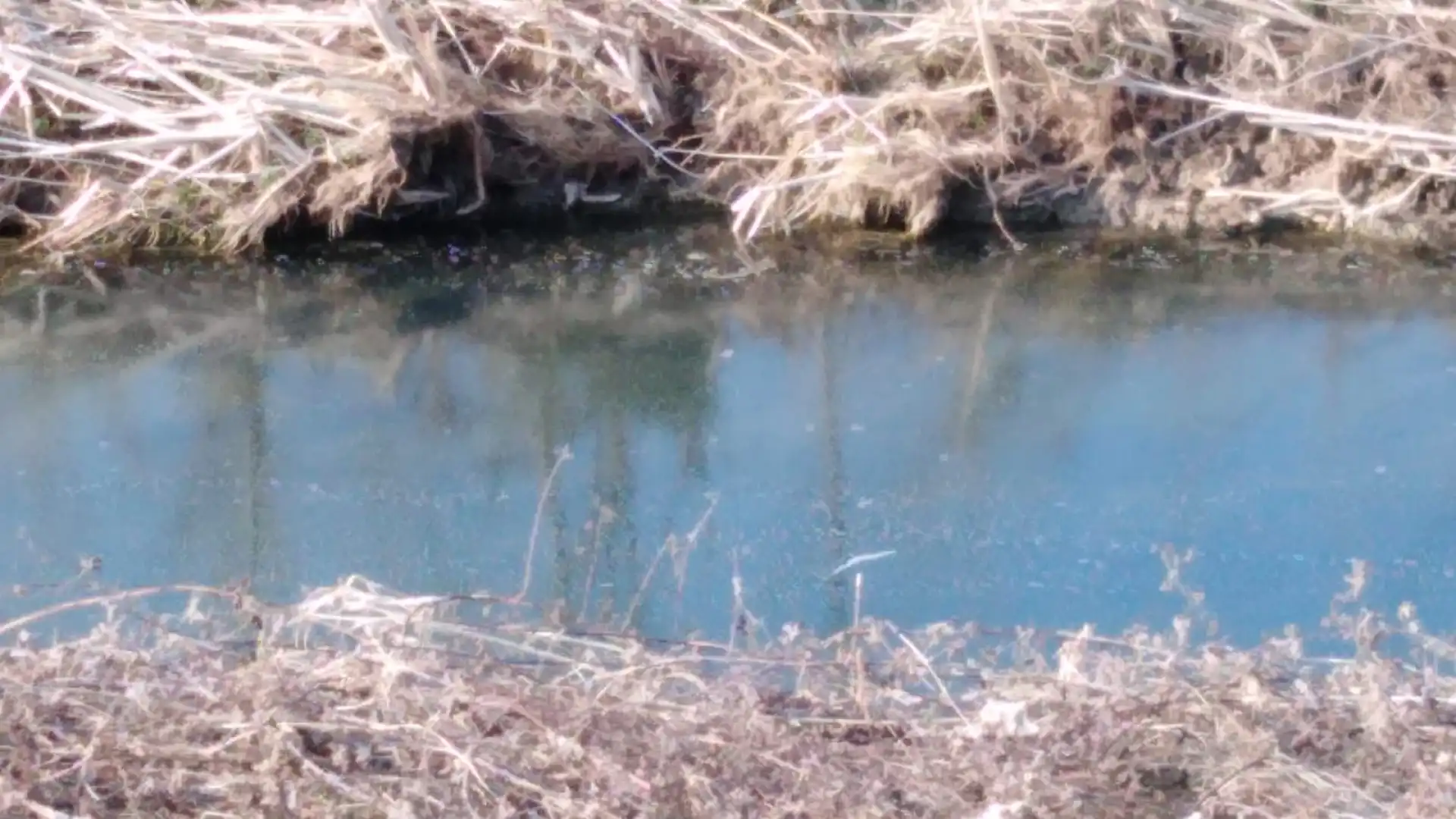 Venafro: sostanze oleose e schiumogene visibili a pelo d’acqua nel Rava. La segnalazione fotografica.