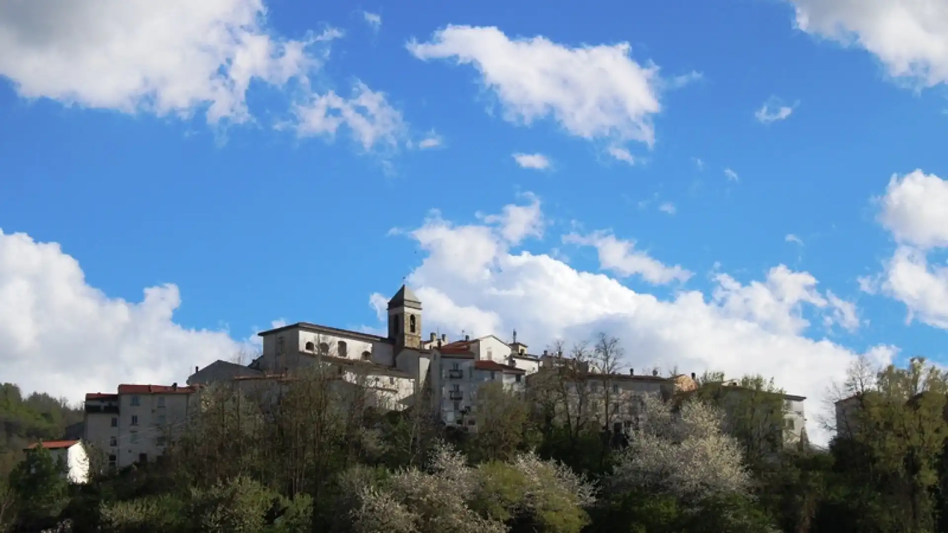 Spesa e farmaci a domicilio grazie  alla Cooperativa di Comunità di Castel del Giudice