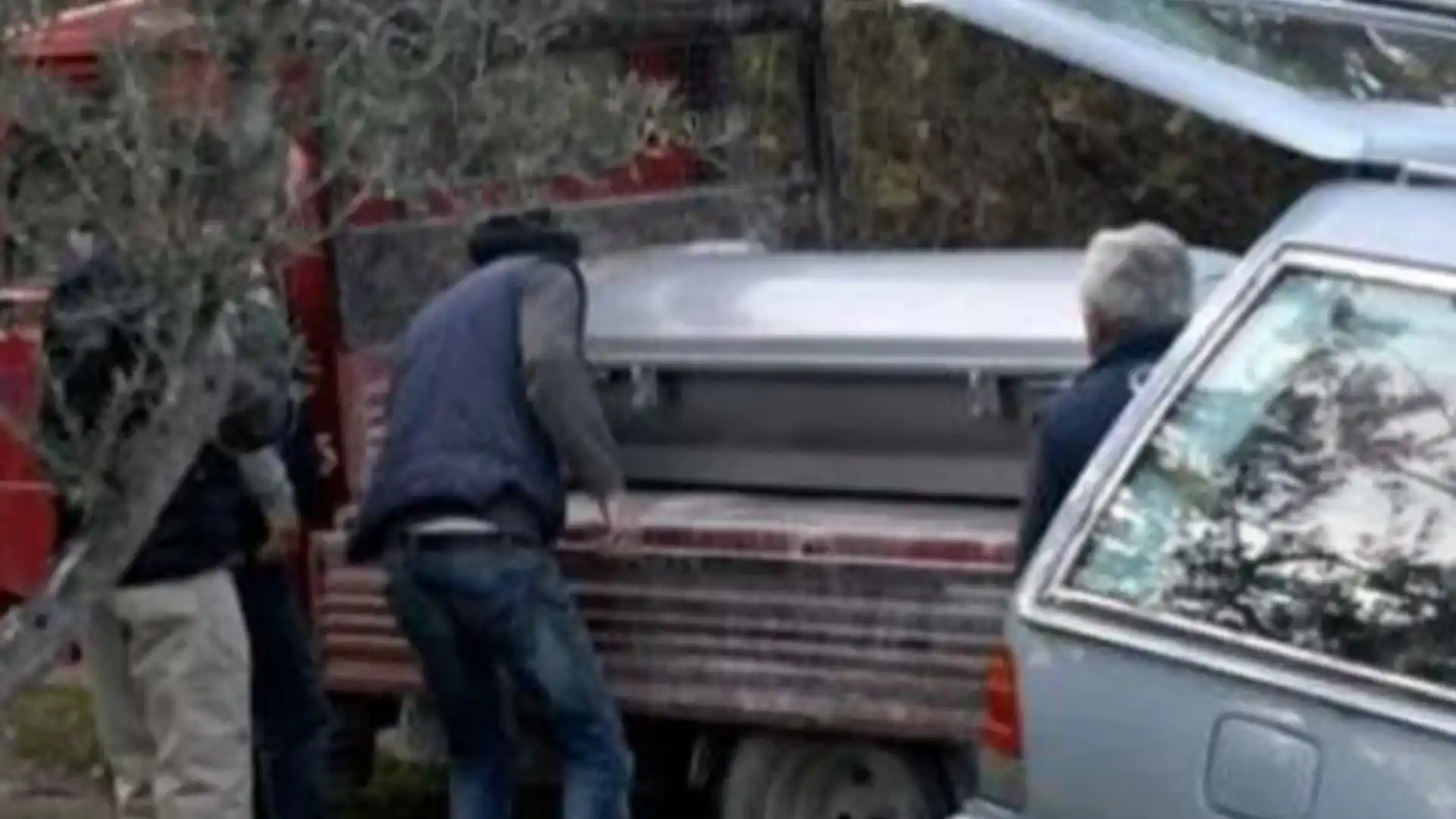 Gallo Matese: tragedia nei boschi. Bidello 54enne schiacciato da un albero. Prestava servizio ad Isernia.