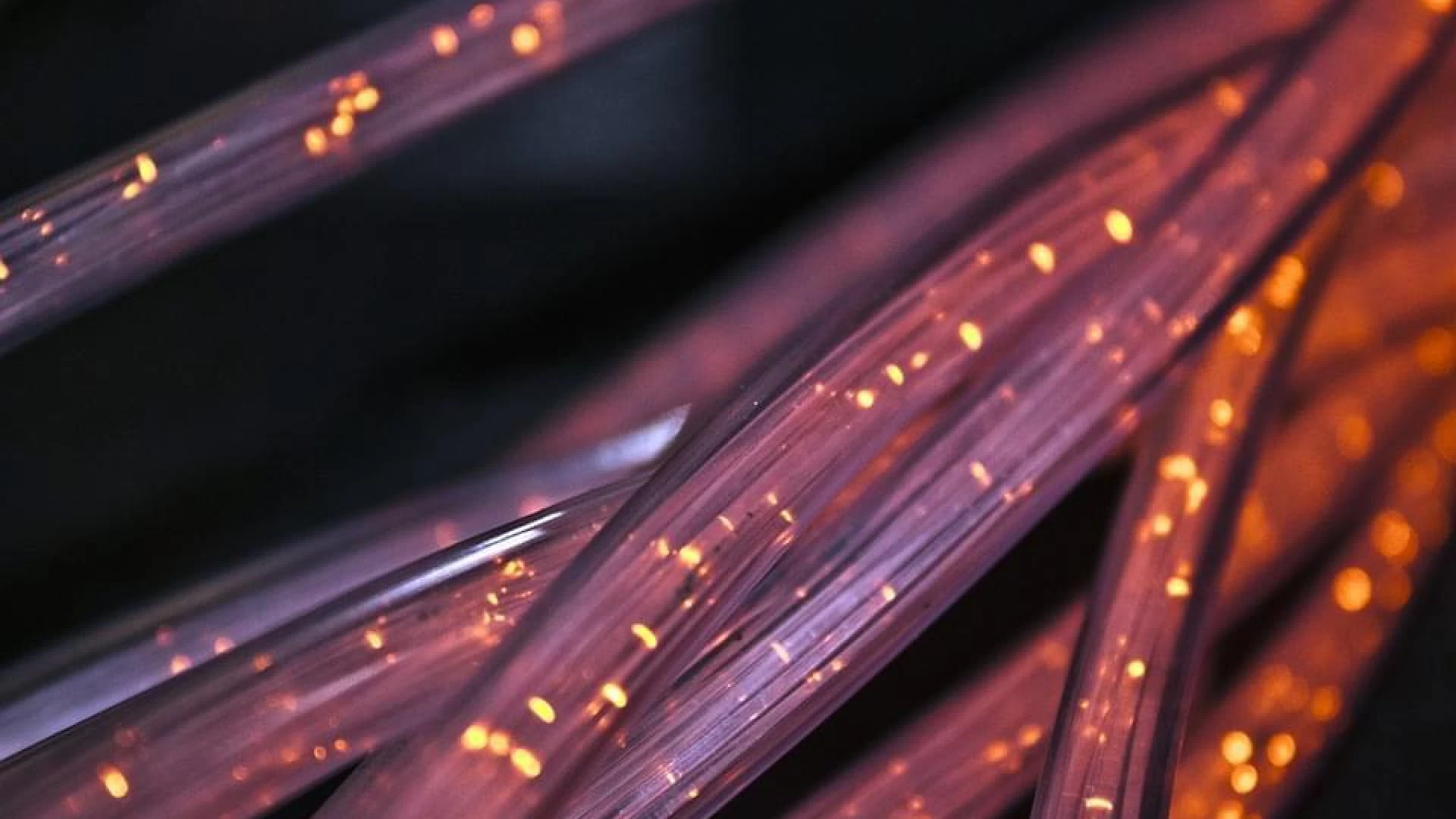 Internet, a Macchia d’Isernia arriverà la fibra entro fine anno.