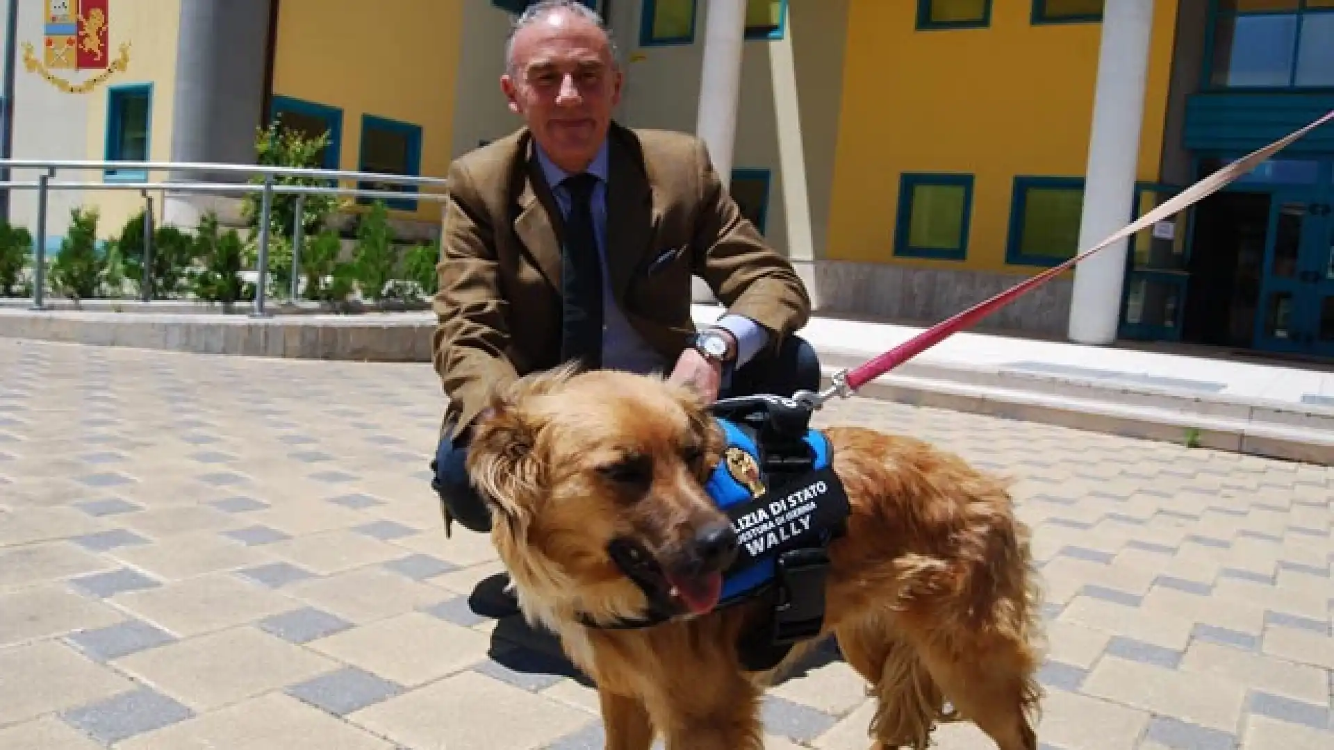 Isernia: Wally, la cagnolina ritrovata e adottata dalla Questura, diventa la mascotte della polizia pentra.