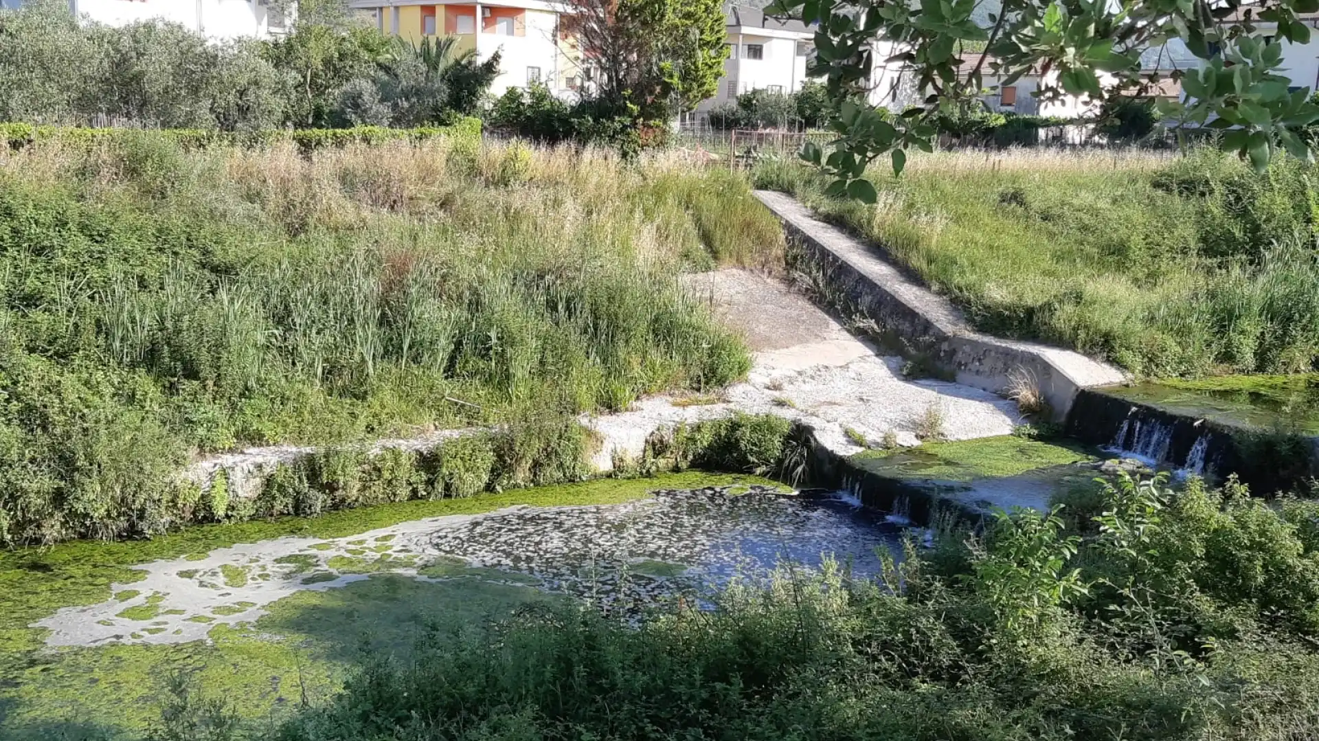 Venafro: la segnalazione dei lettori. Il torrente Rava invaso da schiuma sospetta.