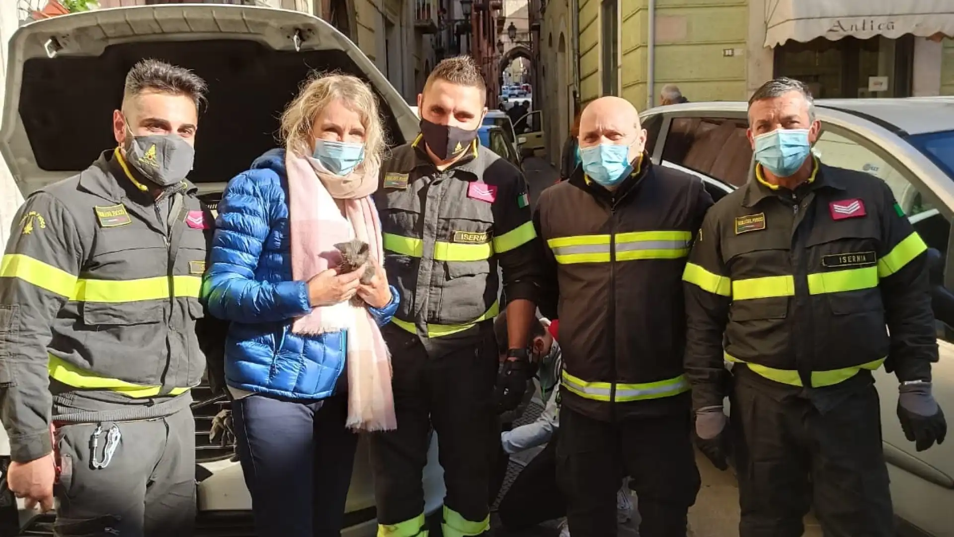 Isernia: i Vigili del Fuoco salvano gatto intrappolato nell'auto di Licia Colò