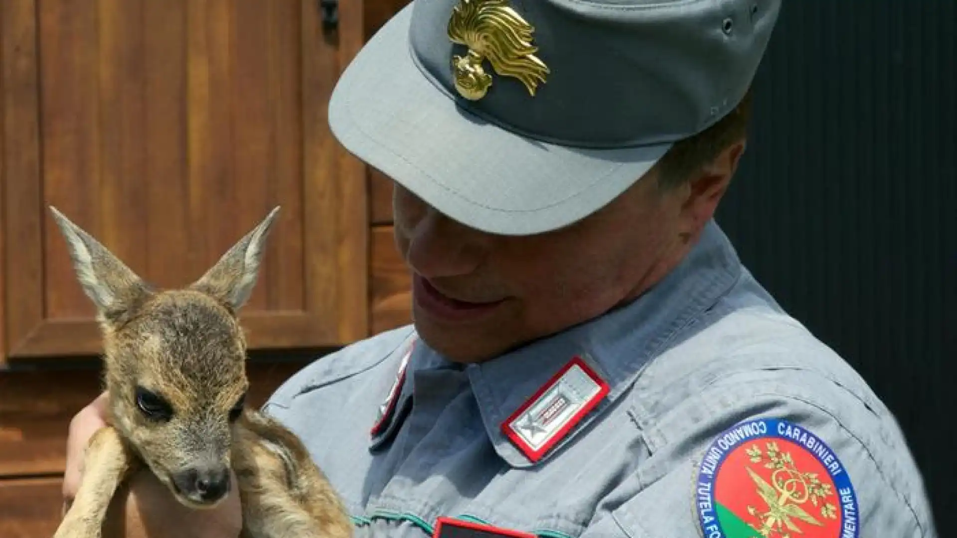 I Carabinieri per la Biodiversità comunicano la chiusura dei centri visita di Collemeluccio e Montedimezzo