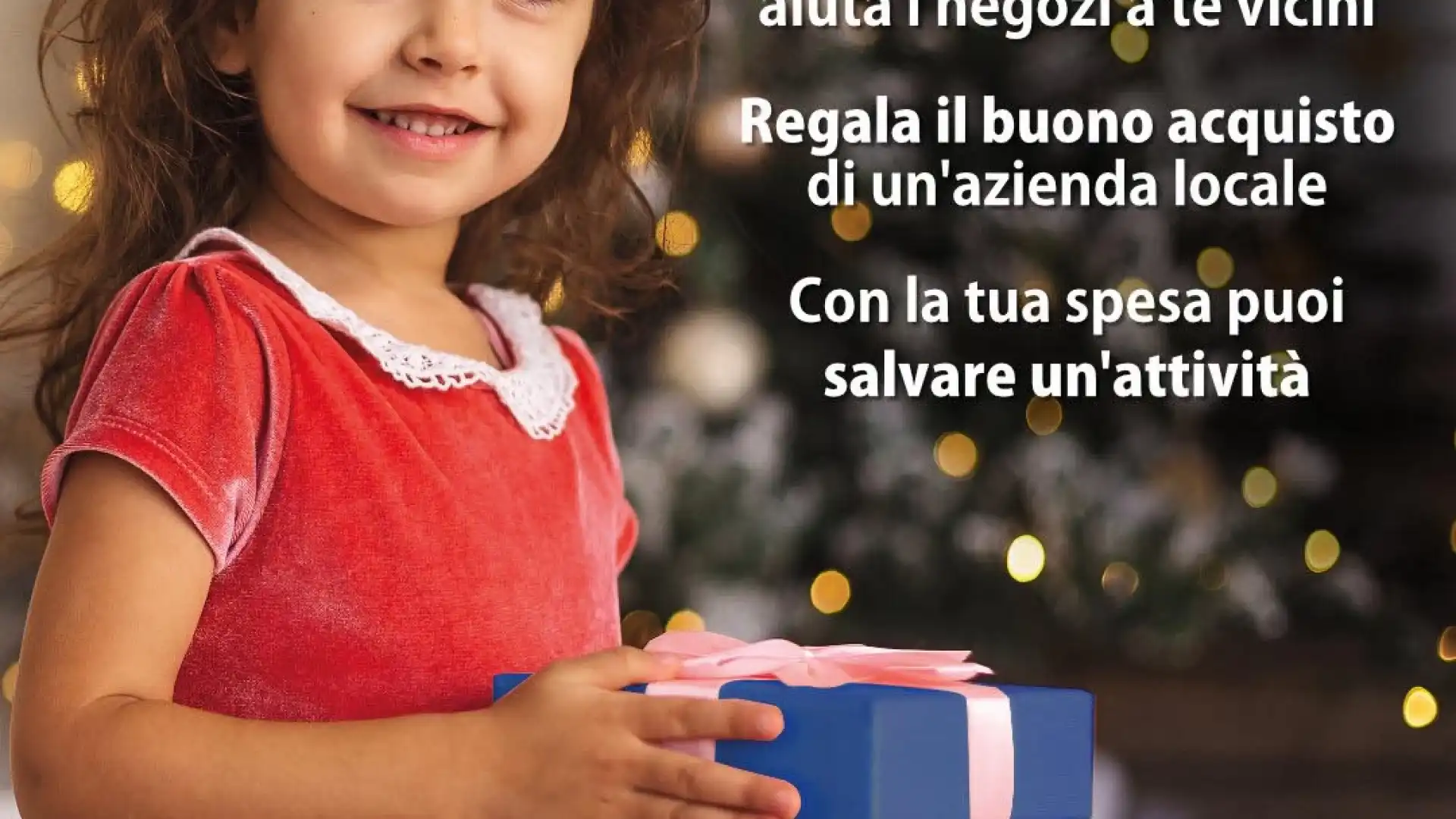 Confcommercio Molise: a Natale compra dalle imprese molisane.