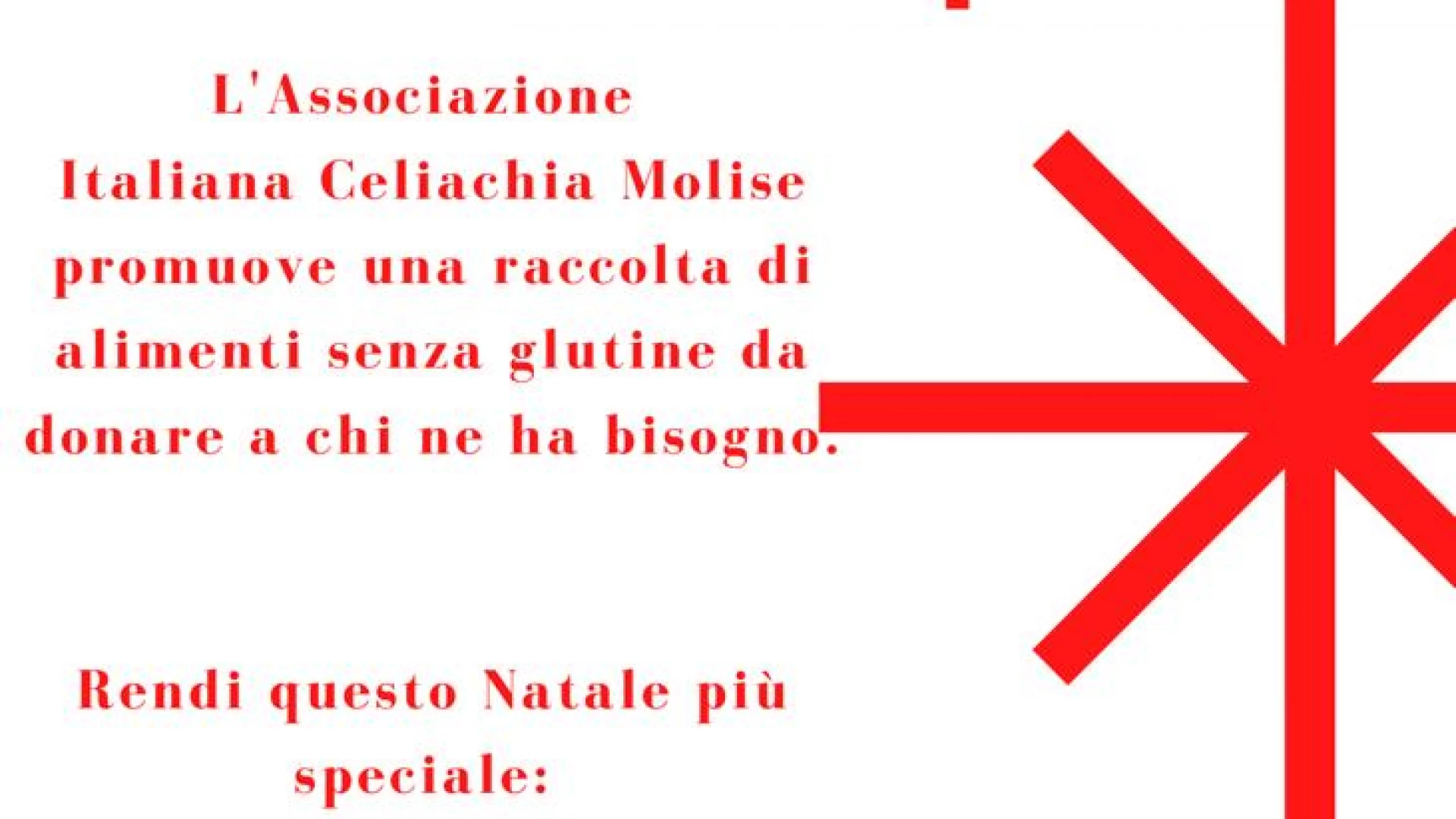 Il Natale è solidarietà: l’AIC Molise dona e raccoglie alimenti per celiaci