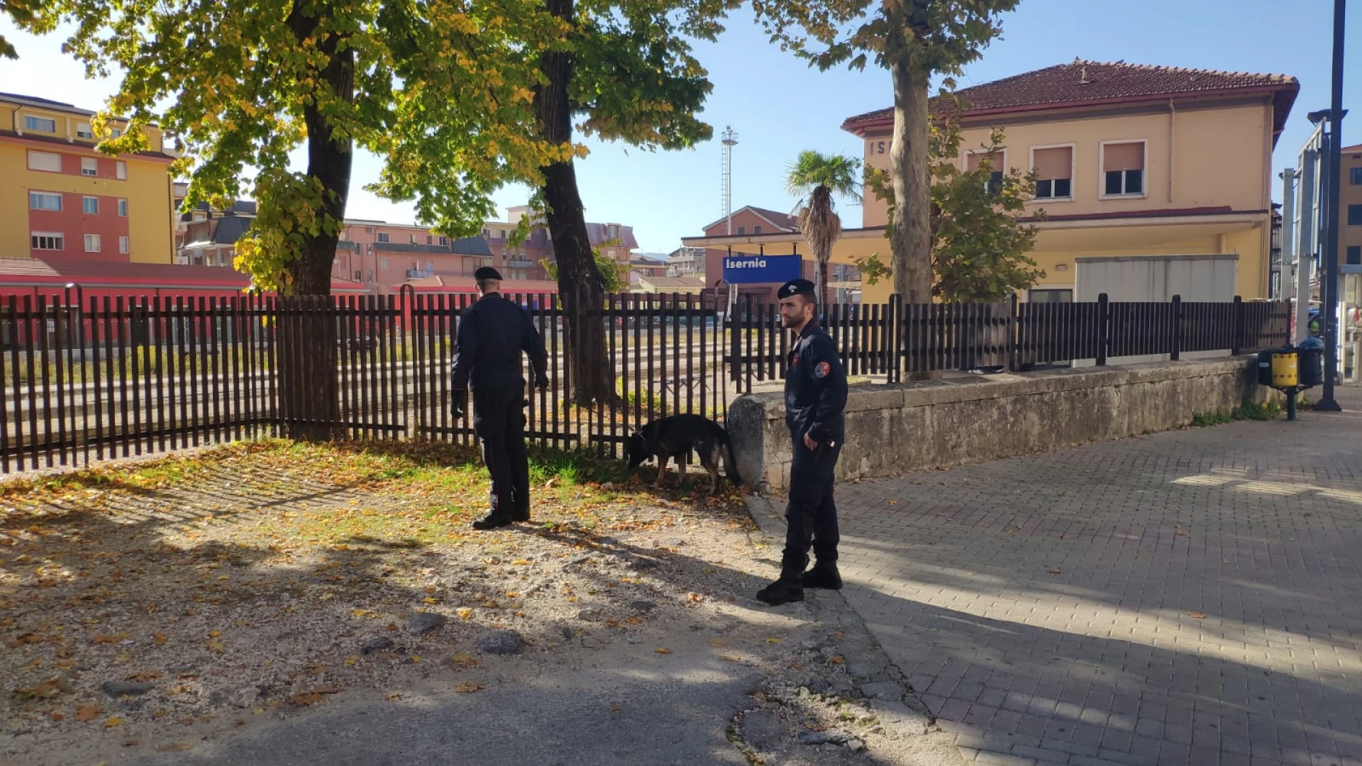 Isernia: Prevenzione, vigilanza e controllo  del territorio da parte dei Carabinieri del Comando Provinciale di Isernia.