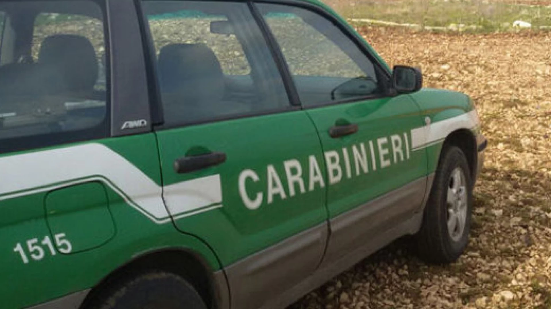 Montenero Val Cocchiara: abbandono di liquami provenienti da allevamento. Denunciato dai Carabinieri Forestali allevatore locale