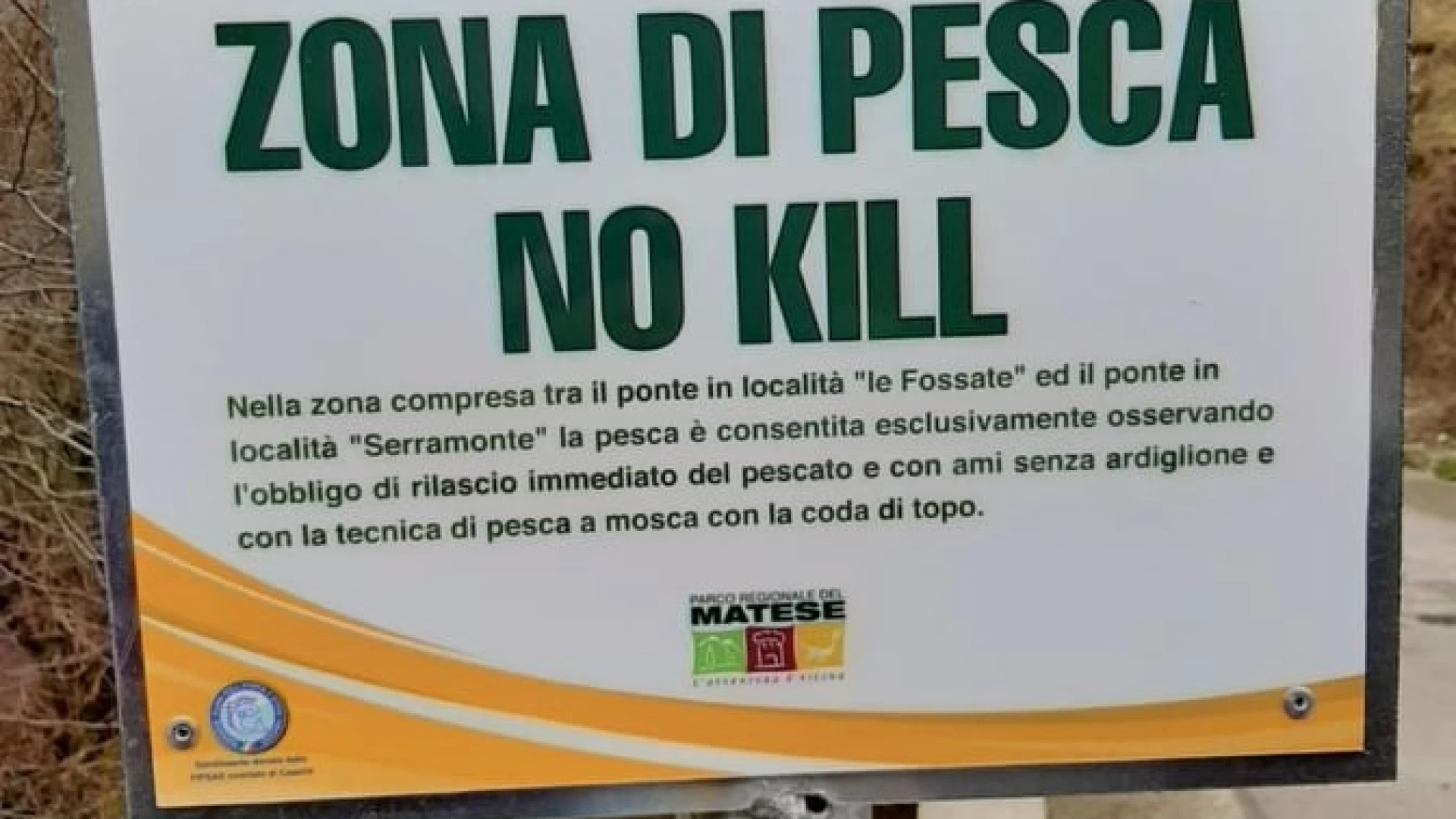 Pesca nel Parco del Matese, volontari a lavoro per tutelare il fiume Lete