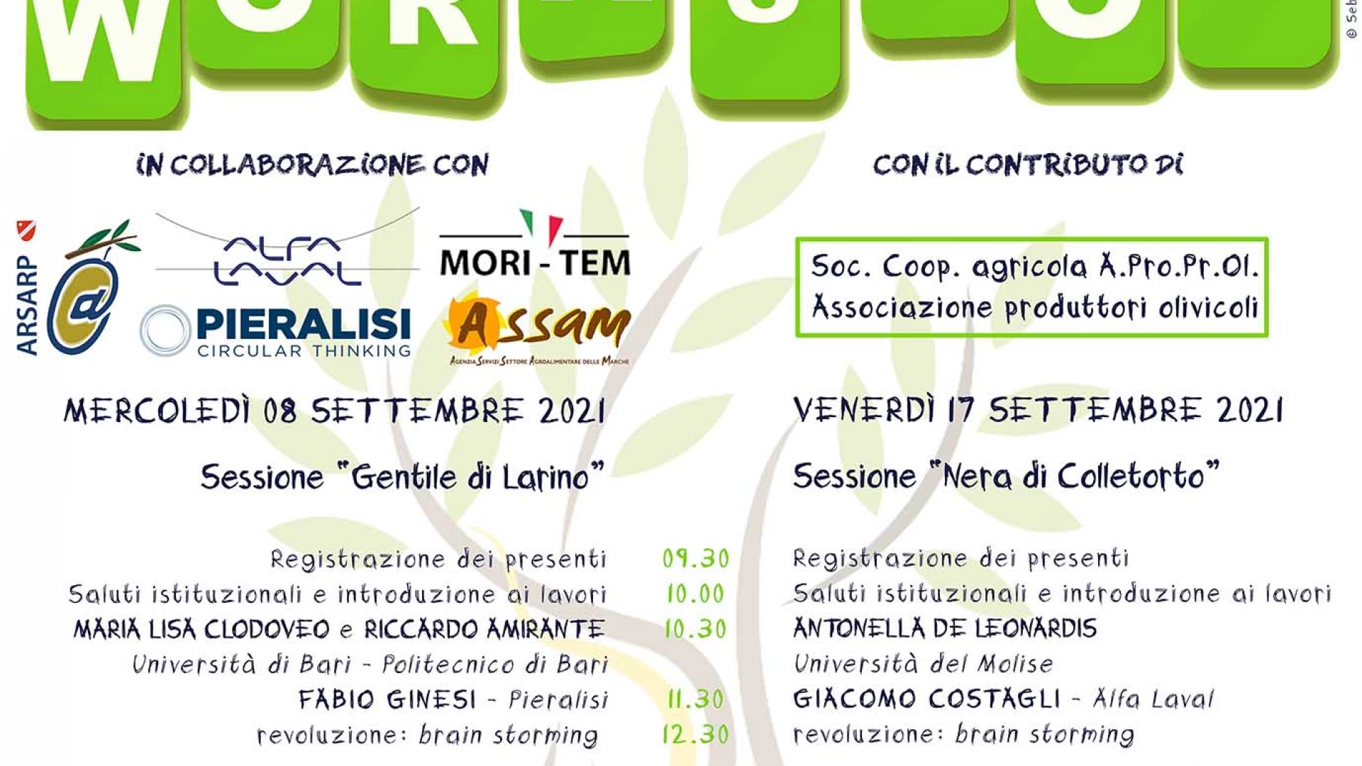 Larino: in programma il workshop Molivoil proposto dall'Istituto Tecnico e Agrario San Pardo