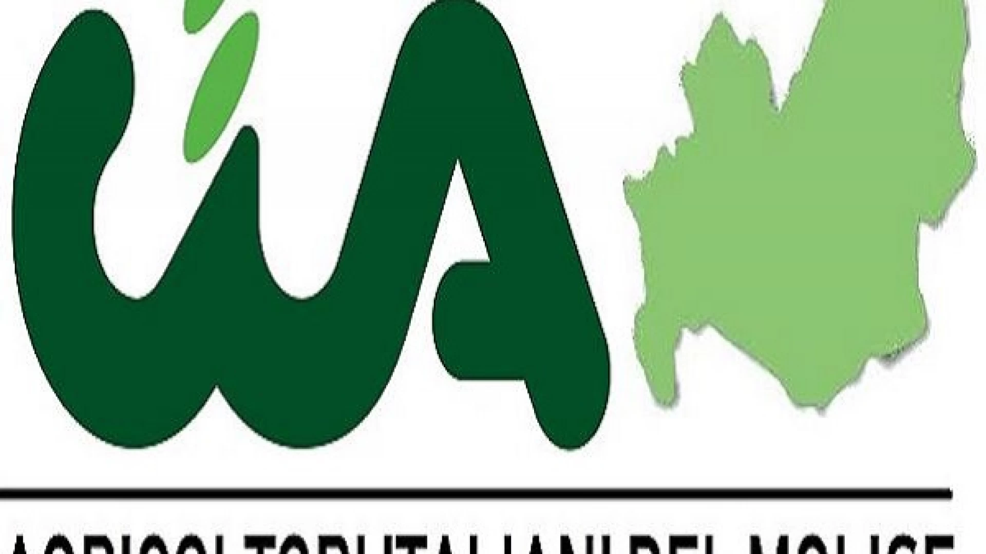 Lavoro: Cia, bene rinnovo contratto per 16mila quadri e impiegati agricoli  Le parti firmatarie hanno raggiunto l’accordo con un aumento del 2%