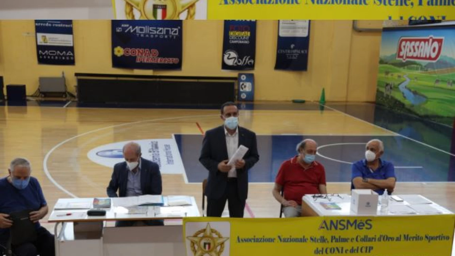 L'Ansmes Molise elegge anche il presidente della sezione provinciale di Campobasso