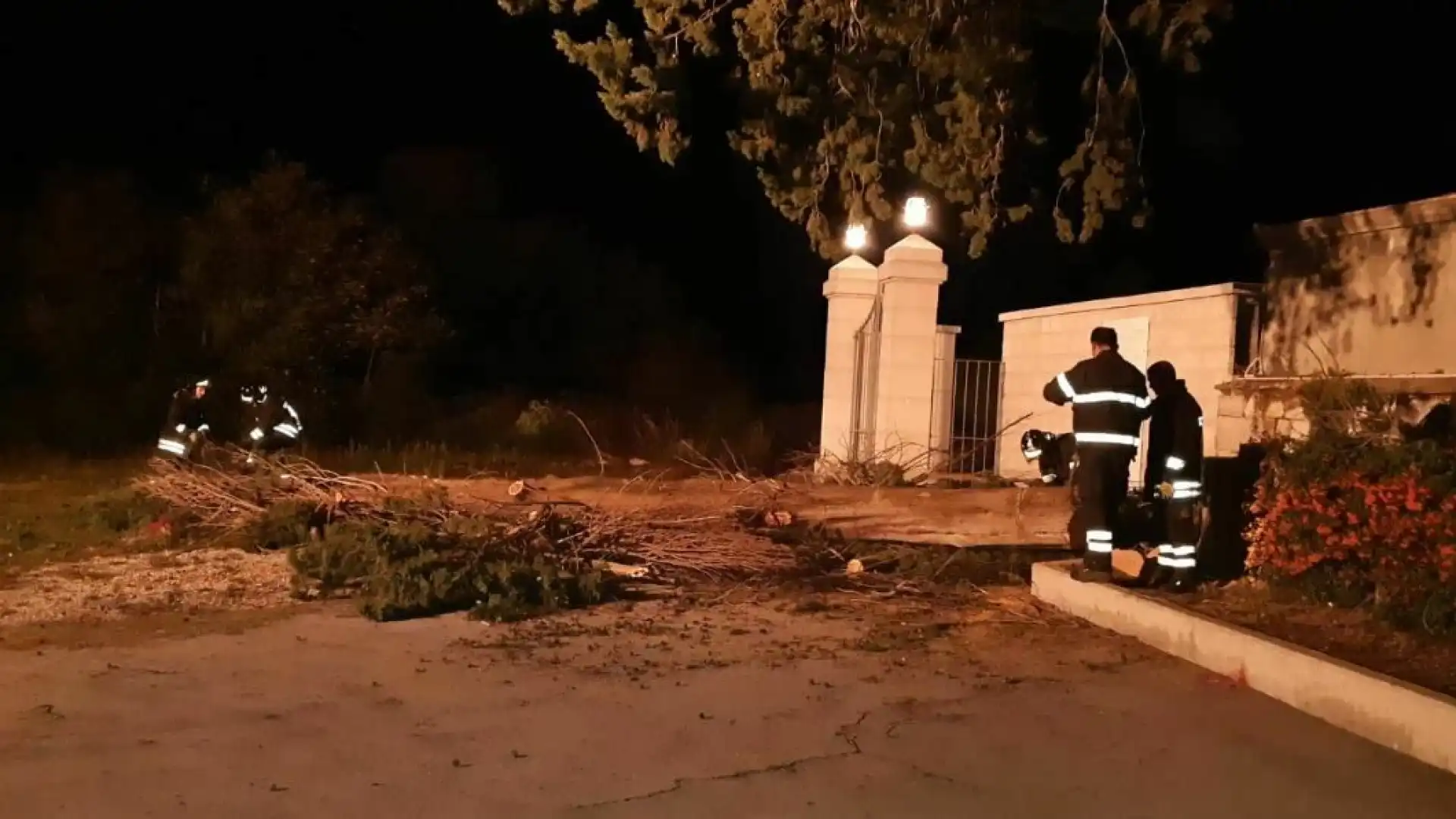 Colli a Volturno: Vigili del Fuoco in azione nella zona del cimitero. Tagliati i rami pericolanti dei pini rovinati dal maltempo dei giorni scorsi.