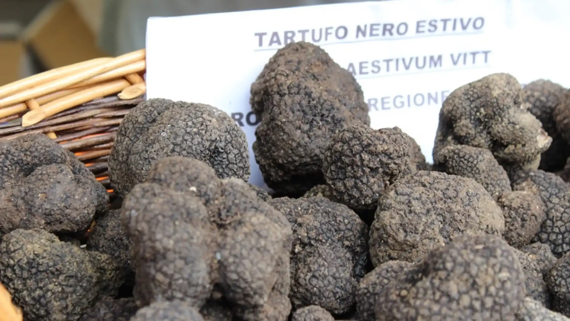 In Molise c’è la 30°  Fiera del Tartufo Nero di San Pietro Avellana