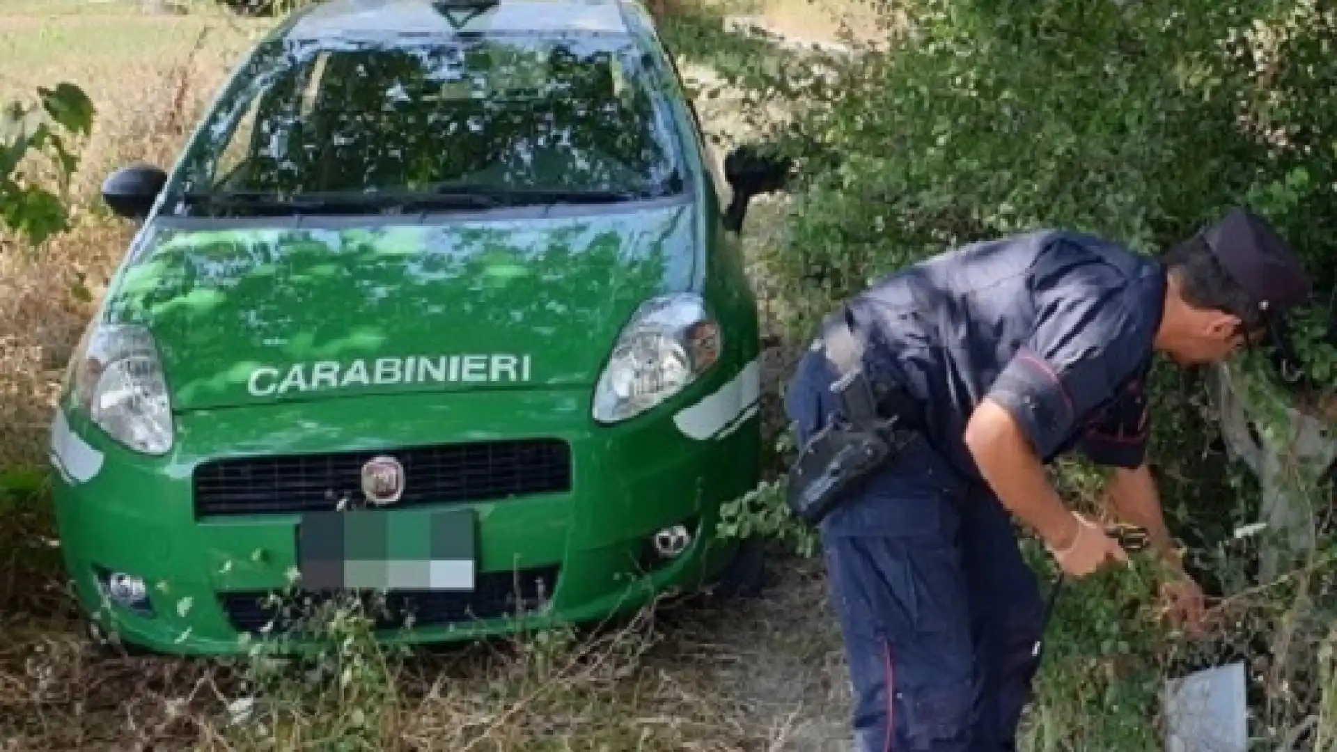 Venafro: Controlli dei Carabinieri del NAS. Chiuso un deposito per alimenti privo di autorizzazione.