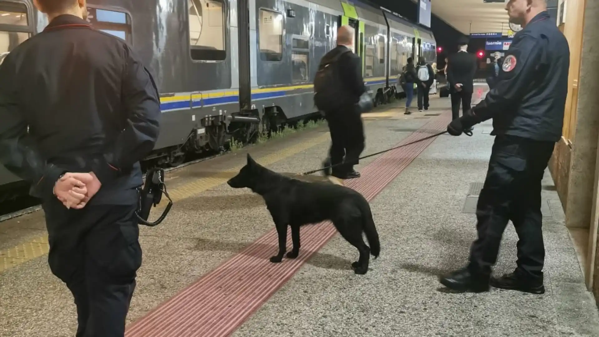 Isernia: week-end di controlli straordinari dei Carabinieri sul territorio. Utilizzate anche unità cinofile.