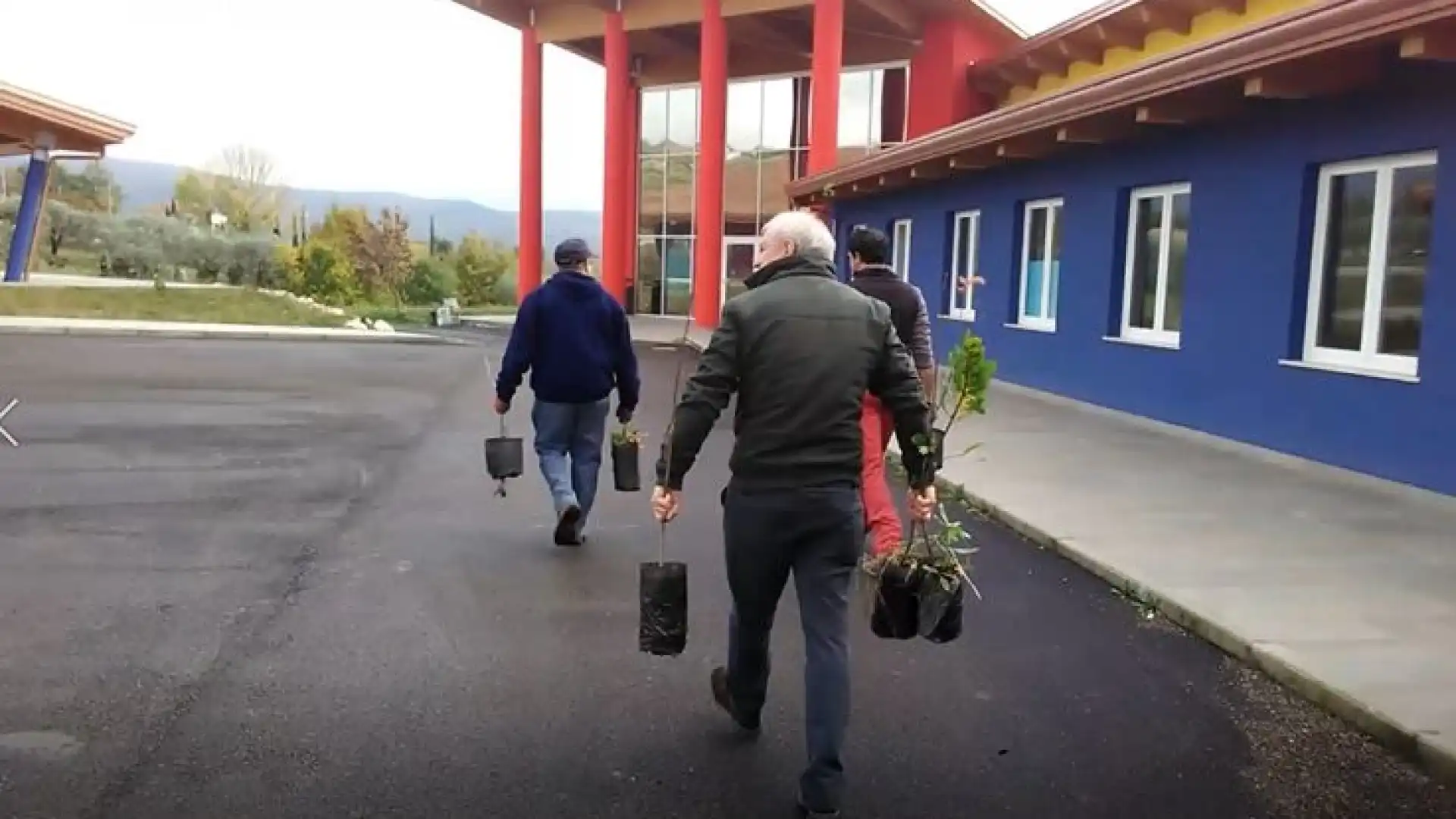 Fornelli: la festa dell’albero che celebra la vita. Guarda il servizio video