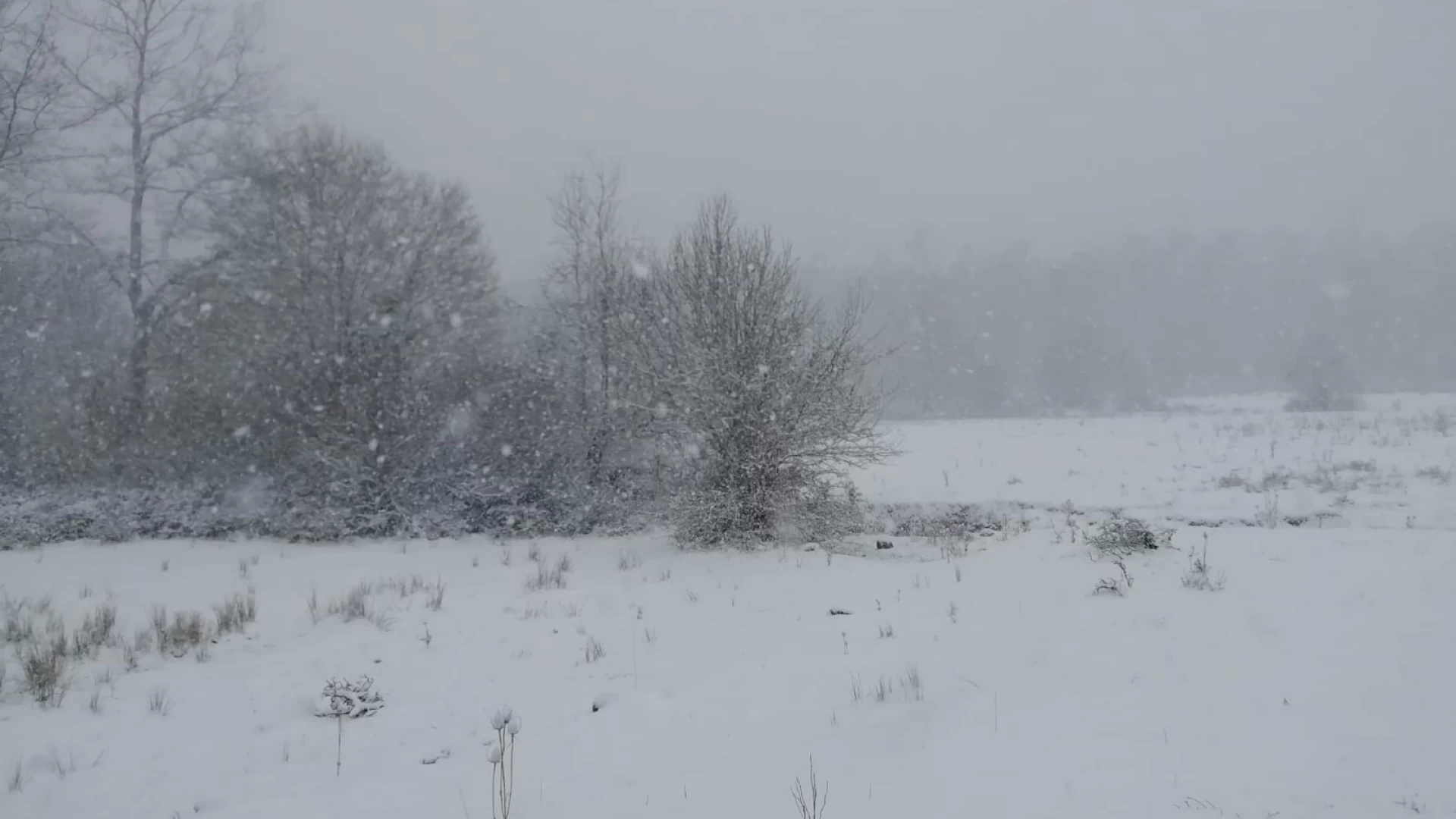 Neve , le foto della prima nevicata stagionale in provincia di Isernia