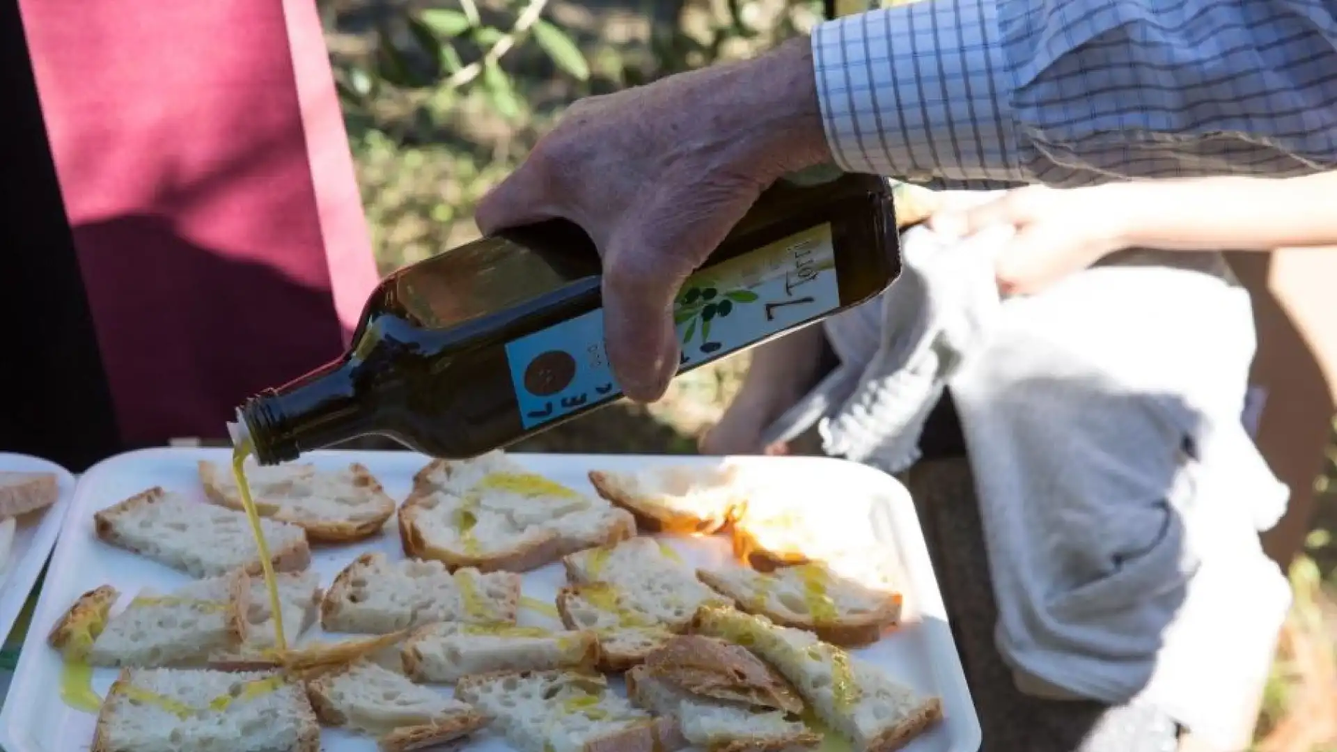 Larino, la culla della città dell'olio.