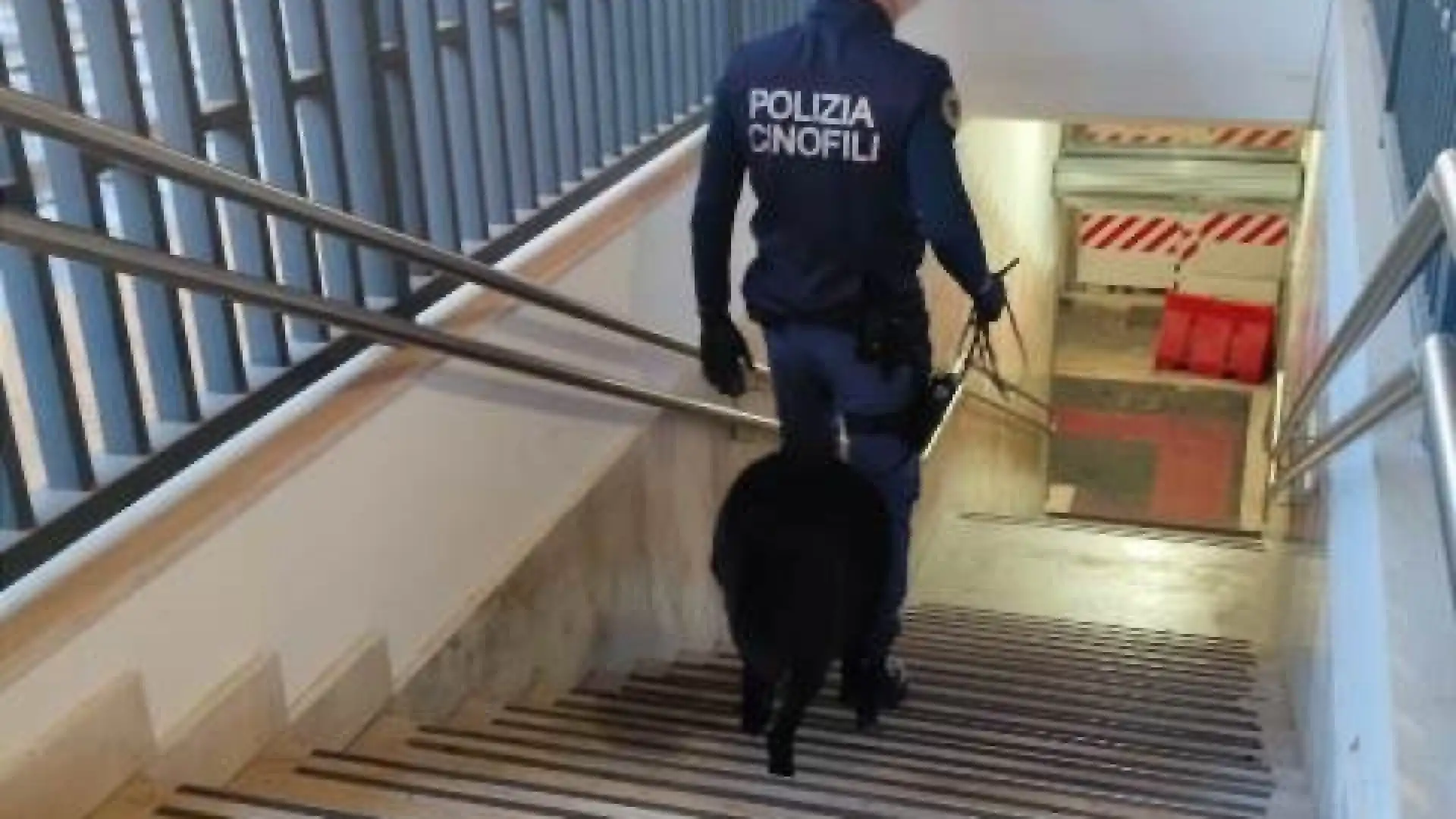 Isernia: giovane spacciatore tratto in arresto dalla Polizia pentra.