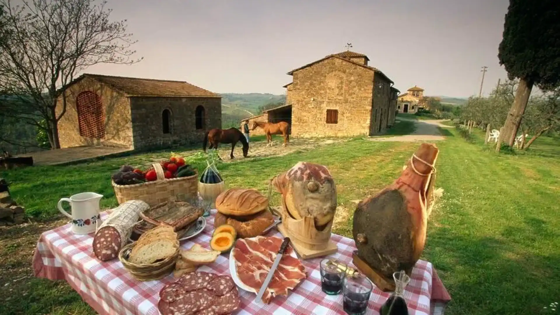 Turismo, Coldirettli Molise: “Dalla Bit di Milano spazio anche agli agriturismi”.